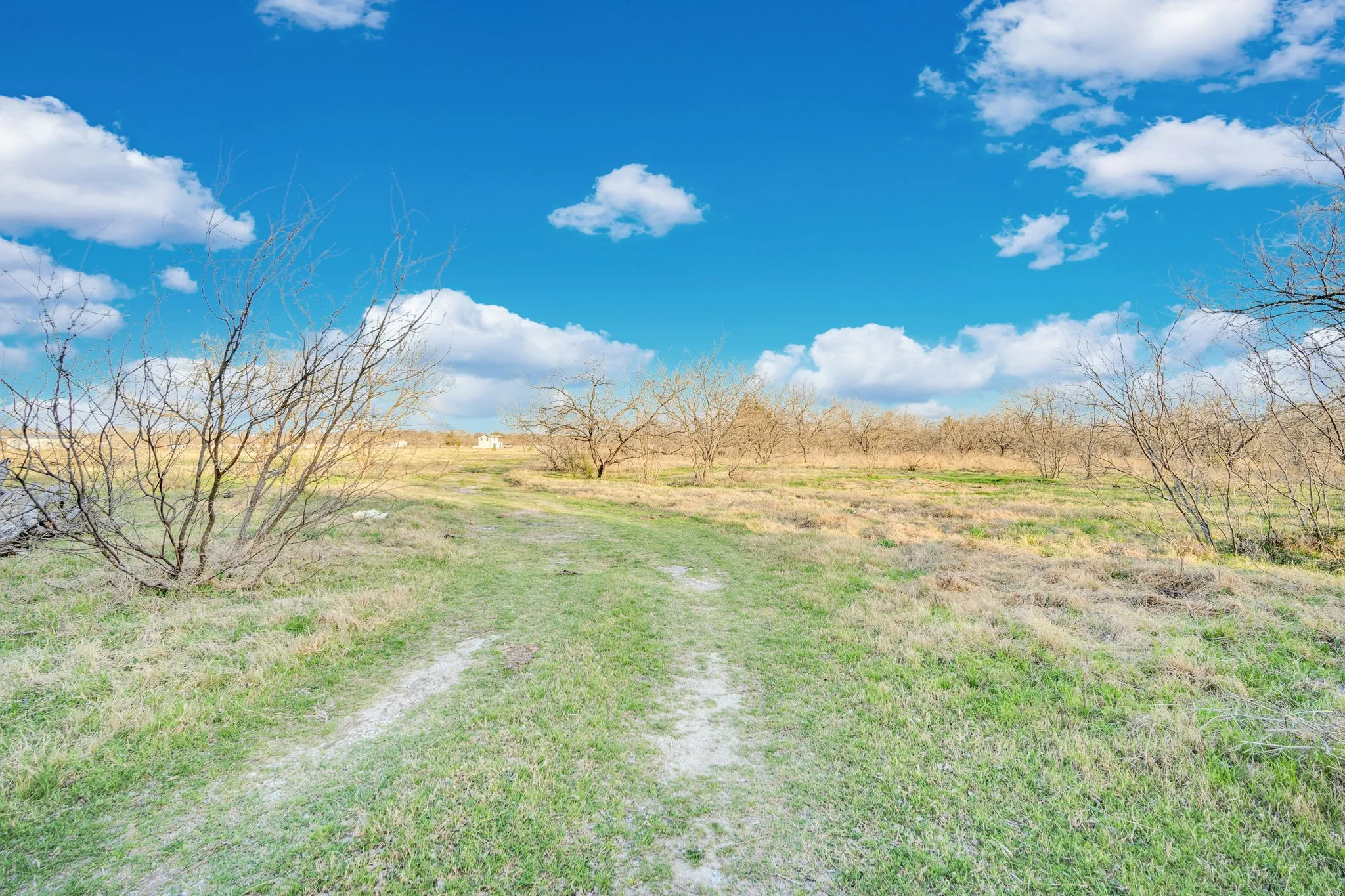 Ranch For Sale in Navarro County , 3175 County Road 1110, Corsicana, Texas 75110, 0, 0, Garage spaces, 0 Sqft, built in 0, mls#21132216, Real Estate Agent in Corsicana, Homes For Sale in Navarro county, Homes For Sale in Corsicana, Realtor in Corsicana Texas, Real Estate Brokerage Independent Realty Texas, Luminita Cordes Realtor