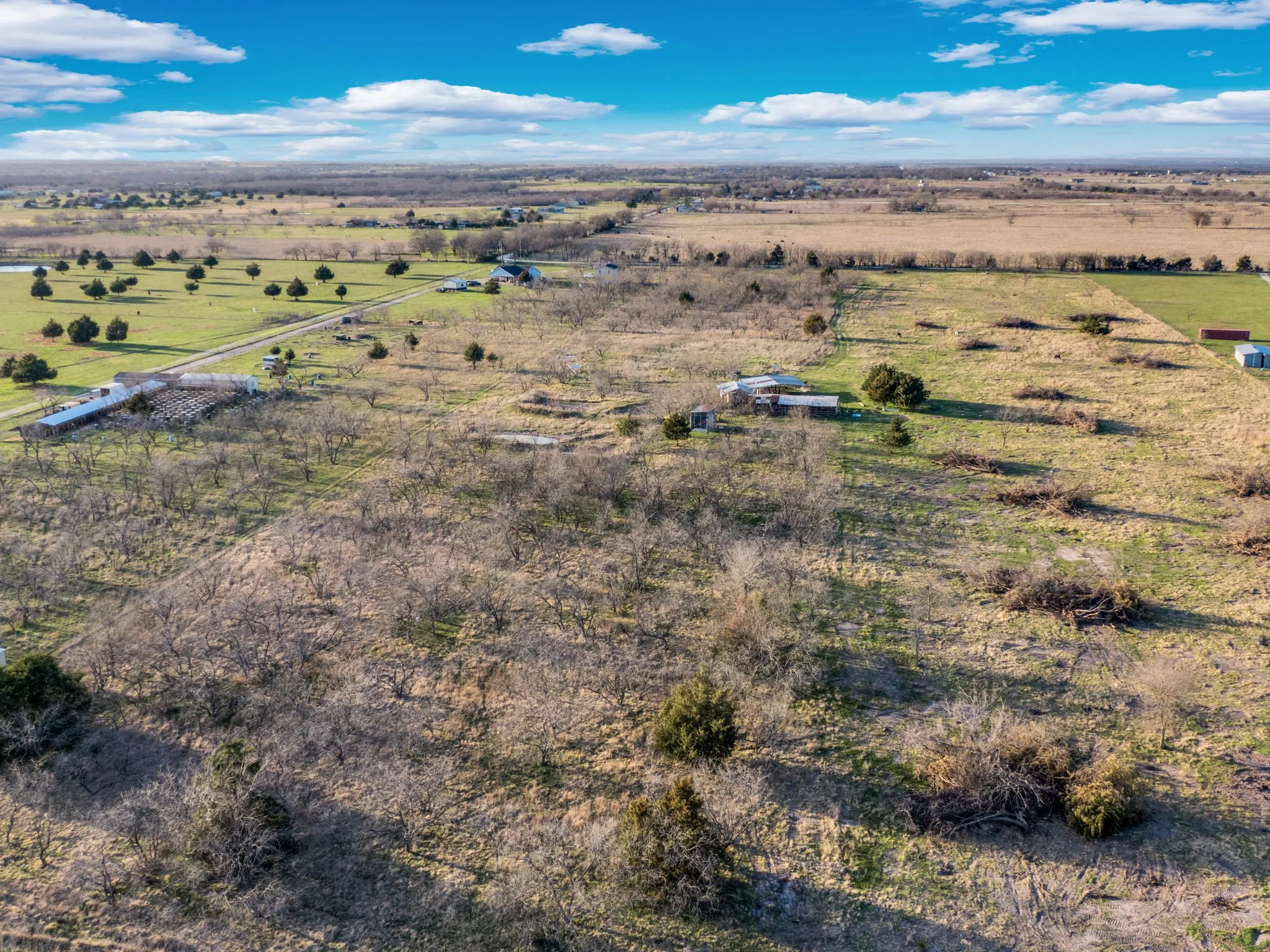 Ranch For Sale in Navarro County , 3175 County Road 1110, Corsicana, Texas 75110, 0, 0, Garage spaces, 0 Sqft, built in 0, mls#21132216, Real Estate Agent in Corsicana, Homes For Sale in Navarro county, Homes For Sale in Corsicana, Realtor in Corsicana Texas, Real Estate Brokerage Independent Realty Texas, Luminita Cordes Realtor