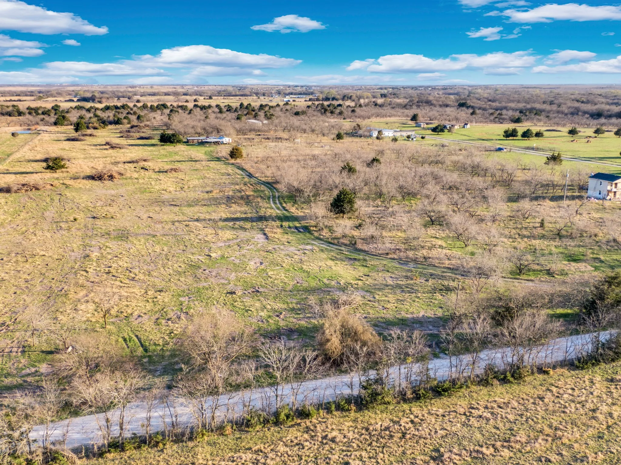 Ranch For Sale in Navarro County , 3175 County Road 1110, Corsicana, Texas 75110, 0, 0, Garage spaces, 0 Sqft, built in 0, mls#21132216, Real Estate Agent in Corsicana, Homes For Sale in Navarro county, Homes For Sale in Corsicana, Realtor in Corsicana Texas, Real Estate Brokerage Independent Realty Texas, Luminita Cordes Realtor