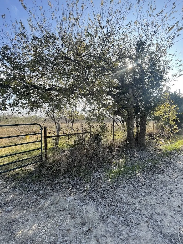 Ranch For Sale in Navarro County , 3175 County Road 1110, Corsicana, Texas 75110, 0, 0, Garage spaces, 0 Sqft, built in 0, mls#21132216, Real Estate Agent in Corsicana, Homes For Sale in Navarro county, Homes For Sale in Corsicana, Realtor in Corsicana Texas, Real Estate Brokerage Independent Realty Texas, Luminita Cordes Realtor