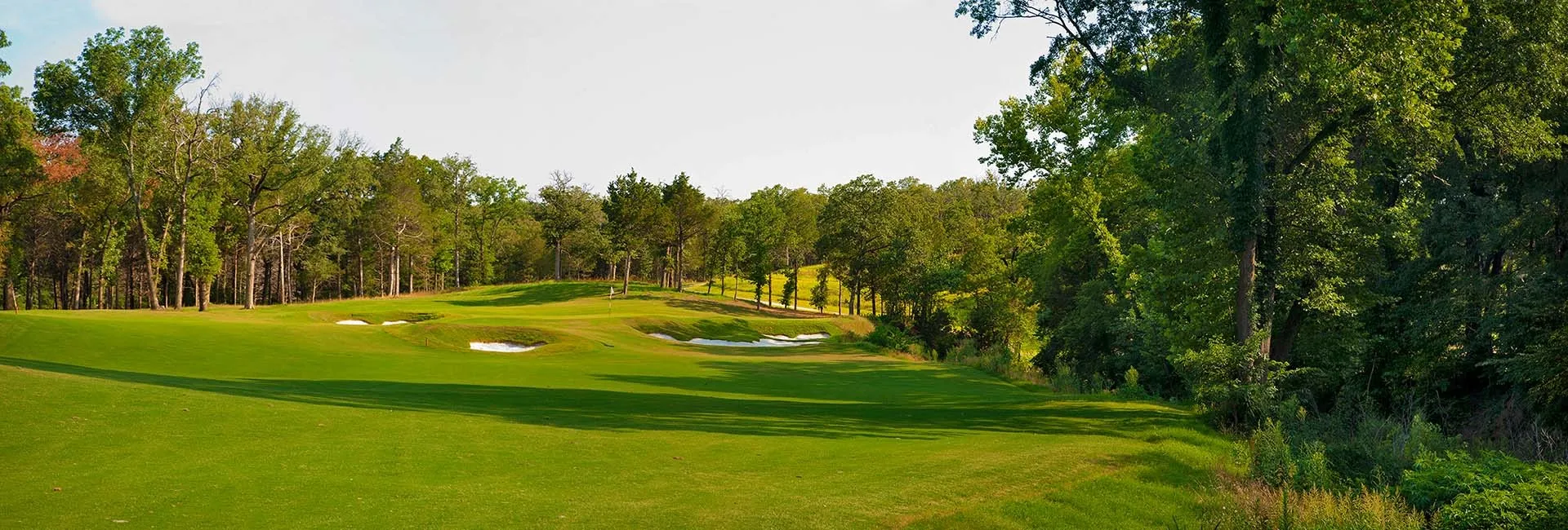 Unimproved Land For Sale in Grayson County , 205 Wing Haven Court, Gordonville, Texas 76245, 0, 0, Garage spaces, 0 Sqft, built in 0, Price $40,000, mls#21132673, Real Estate Agent in Gordonville, Homes For Sale in Grayson county, Homes For Sale in Gordonville, Realtor in Gordonville Texas, Real Estate Brokerage Independent Realty Texas, Luminita Cordes Realtor