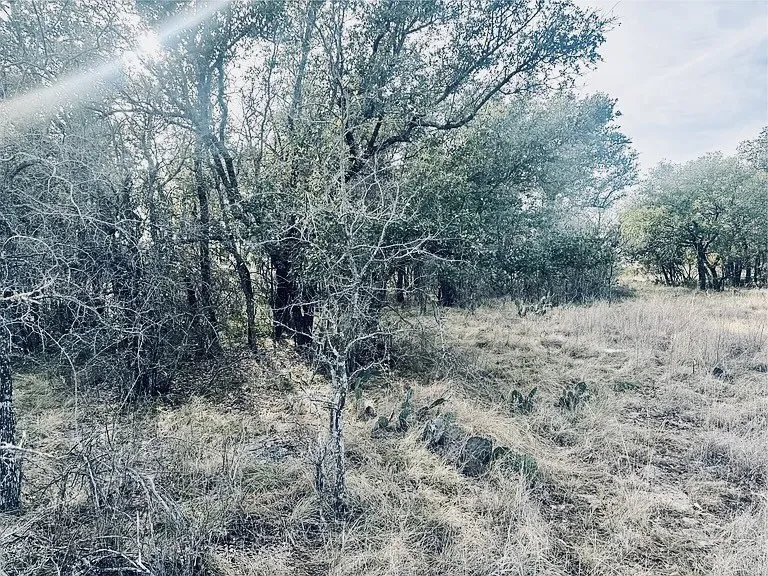 Unimproved Land For Sale in Brown County , 194 Willie B Drive, Brownwood, Texas 76801, 0, 0, Garage spaces, 0 Sqft, built in 0, Price $40,000, mls#21132741, Real Estate Agent in Brownwood, Homes For Sale in Brown county, Homes For Sale in Brownwood, Realtor in Brownwood Texas, Real Estate Brokerage Independent Realty Texas, Luminita Cordes Realtor
