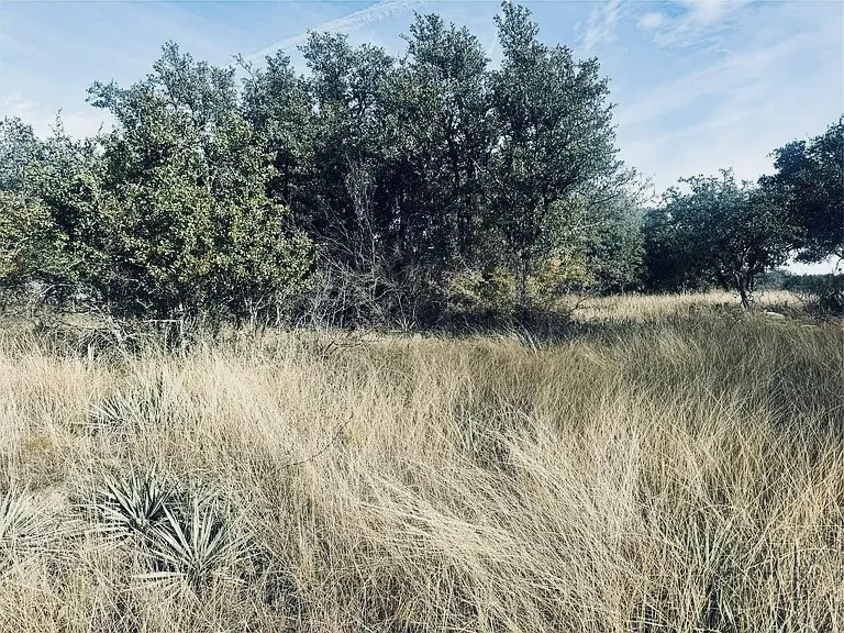 Unimproved Land For Sale in Brown County , 194 Willie B Drive, Brownwood, Texas 76801, 0, 0, Garage spaces, 0 Sqft, built in 0, Price $40,000, mls#21132741, Real Estate Agent in Brownwood, Homes For Sale in Brown county, Homes For Sale in Brownwood, Realtor in Brownwood Texas, Real Estate Brokerage Independent Realty Texas, Luminita Cordes Realtor