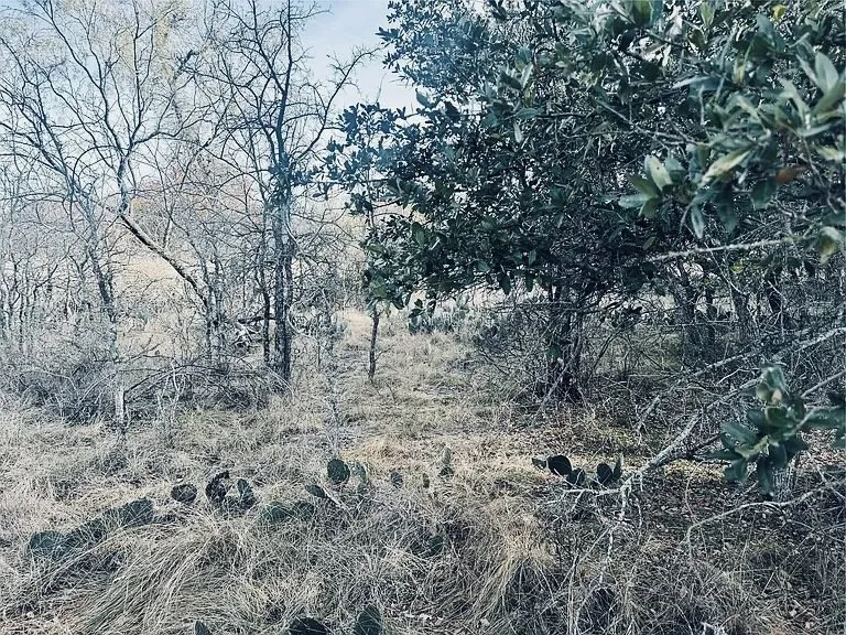 Unimproved Land For Sale in Brown County , 194 Willie B Drive, Brownwood, Texas 76801, 0, 0, Garage spaces, 0 Sqft, built in 0, Price $40,000, mls#21132741, Real Estate Agent in Brownwood, Homes For Sale in Brown county, Homes For Sale in Brownwood, Realtor in Brownwood Texas, Real Estate Brokerage Independent Realty Texas, Luminita Cordes Realtor