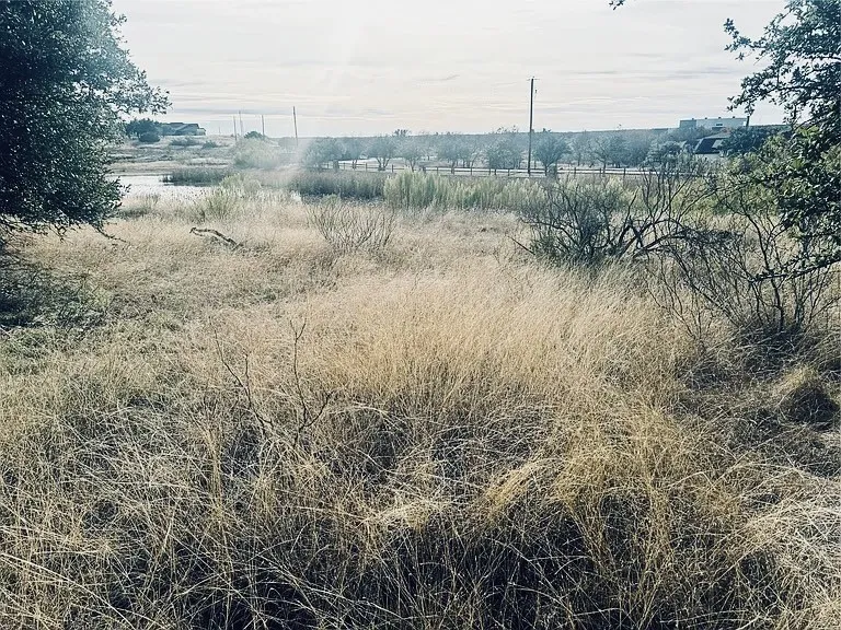 Unimproved Land For Sale in Brown County , 194 Willie B Drive, Brownwood, Texas 76801, 0, 0, Garage spaces, 0 Sqft, built in 0, Price $40,000, mls#21132741, Real Estate Agent in Brownwood, Homes For Sale in Brown county, Homes For Sale in Brownwood, Realtor in Brownwood Texas, Real Estate Brokerage Independent Realty Texas, Luminita Cordes Realtor