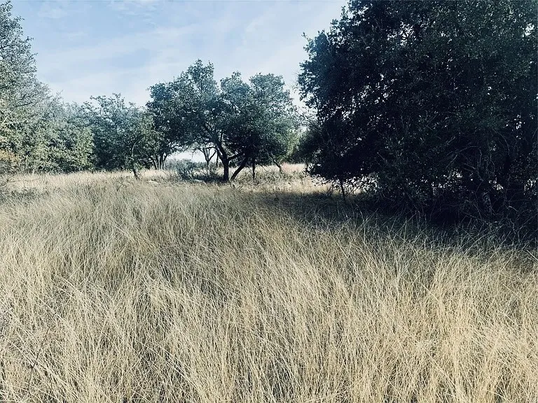 Unimproved Land For Sale in Brown County , 194 Willie B Drive, Brownwood, Texas 76801, 0, 0, Garage spaces, 0 Sqft, built in 0, Price $40,000, mls#21132741, Real Estate Agent in Brownwood, Homes For Sale in Brown county, Homes For Sale in Brownwood, Realtor in Brownwood Texas, Real Estate Brokerage Independent Realty Texas, Luminita Cordes Realtor