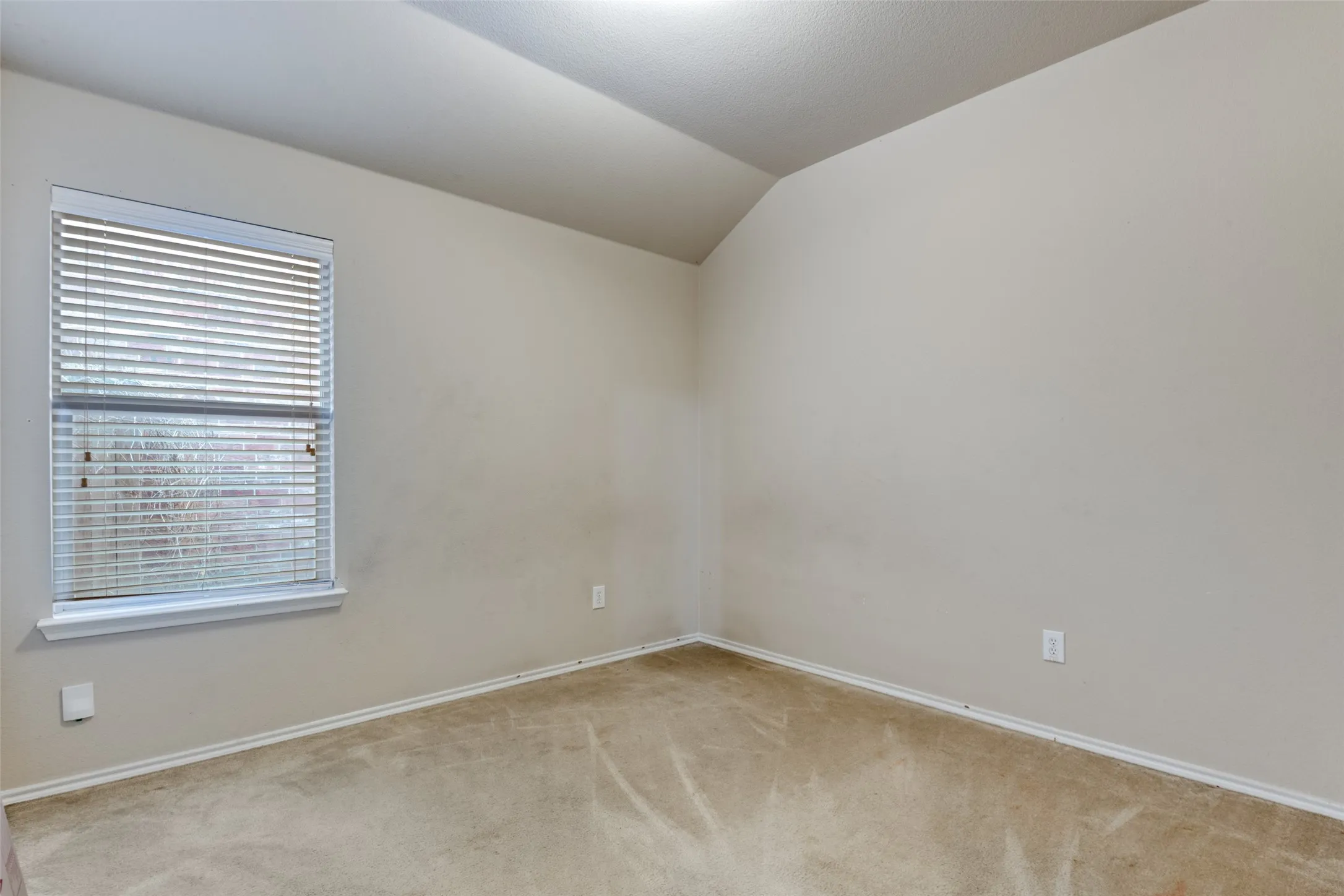 Carpeted room featuring a single window with blinds and neutral-toned walls