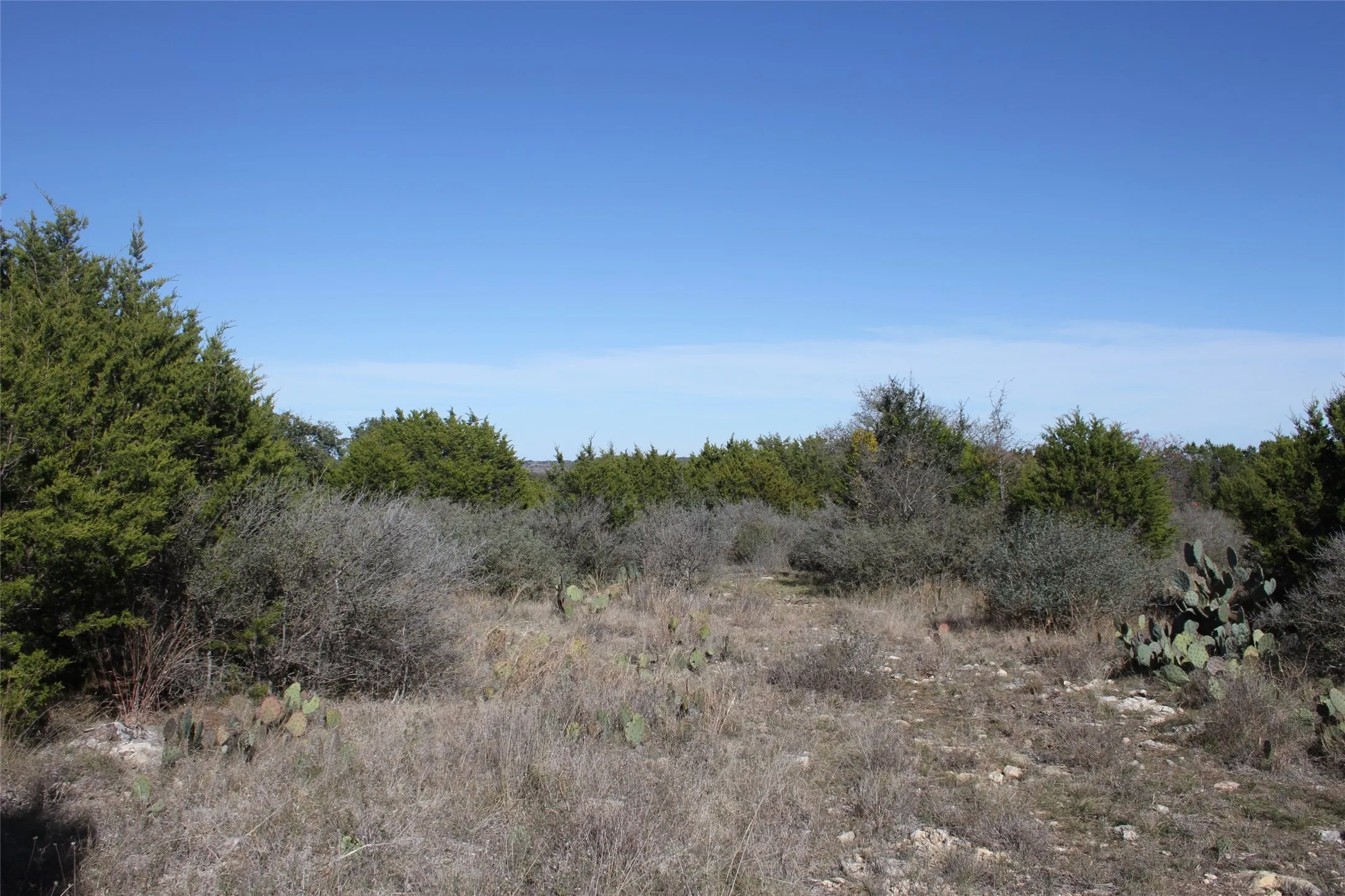 Unimproved Land For Sale in San Saba County , 287 High Plains Drive, San Saba, Texas 76877, 0, 0, Garage spaces, 0 Sqft, built in 0, mls#21132987, Real Estate Agent in San Saba, Homes For Sale in San Saba county, Homes For Sale in San Saba, Realtor in San Saba Texas, Real Estate Brokerage Independent Realty Texas, Luminita Cordes Realtor