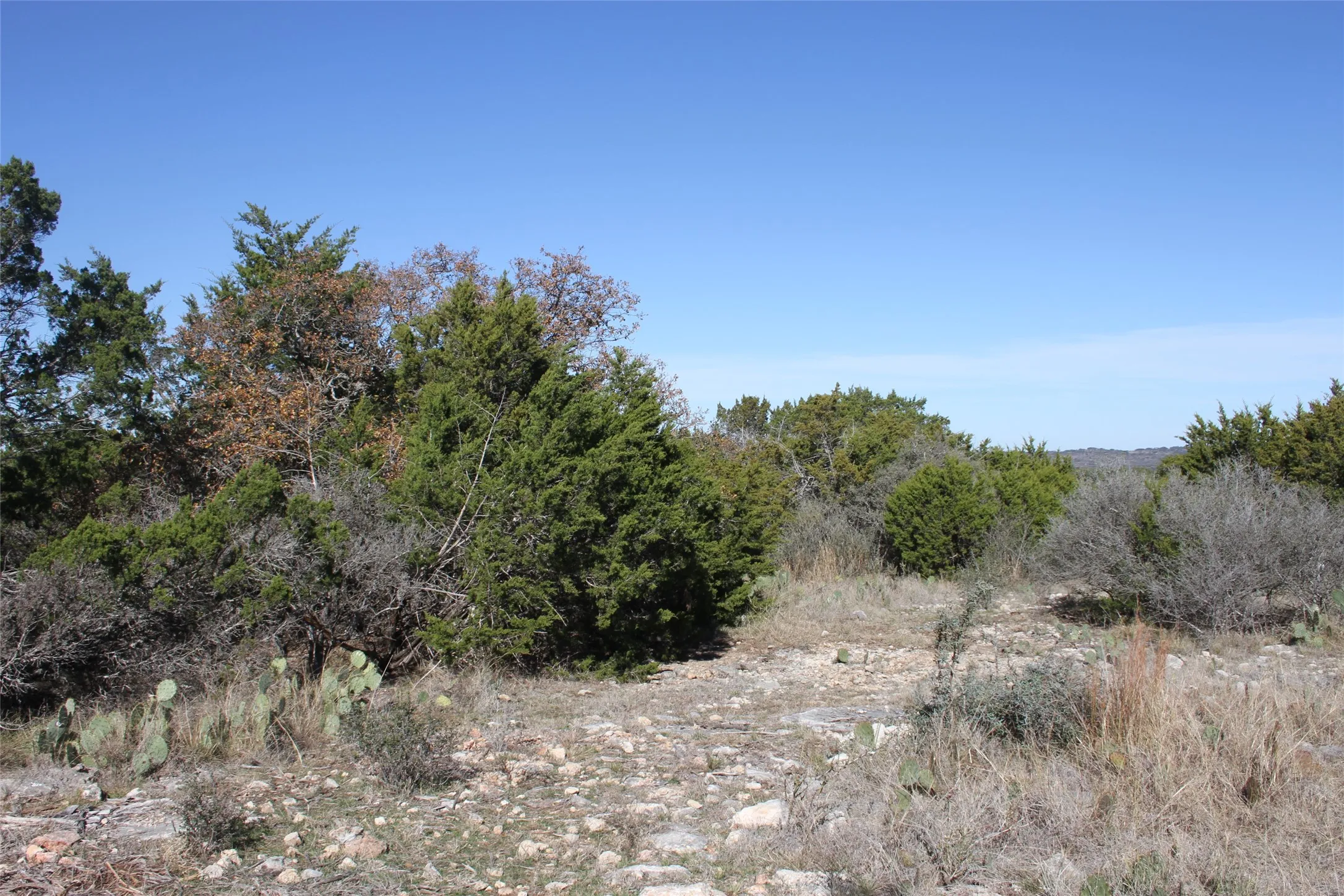 Unimproved Land For Sale in San Saba County , 287 High Plains Drive, San Saba, Texas 76877, 0, 0, Garage spaces, 0 Sqft, built in 0, mls#21132987, Real Estate Agent in San Saba, Homes For Sale in San Saba county, Homes For Sale in San Saba, Realtor in San Saba Texas, Real Estate Brokerage Independent Realty Texas, Luminita Cordes Realtor