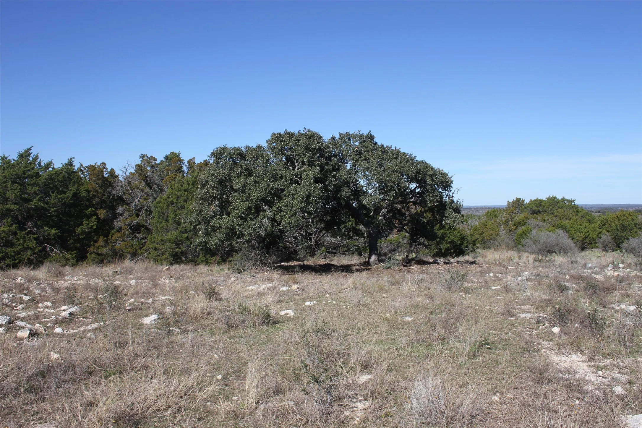 Unimproved Land For Sale in San Saba County , 287 High Plains Drive, San Saba, Texas 76877, 0, 0, Garage spaces, 0 Sqft, built in 0, mls#21132987, Real Estate Agent in San Saba, Homes For Sale in San Saba county, Homes For Sale in San Saba, Realtor in San Saba Texas, Real Estate Brokerage Independent Realty Texas, Luminita Cordes Realtor