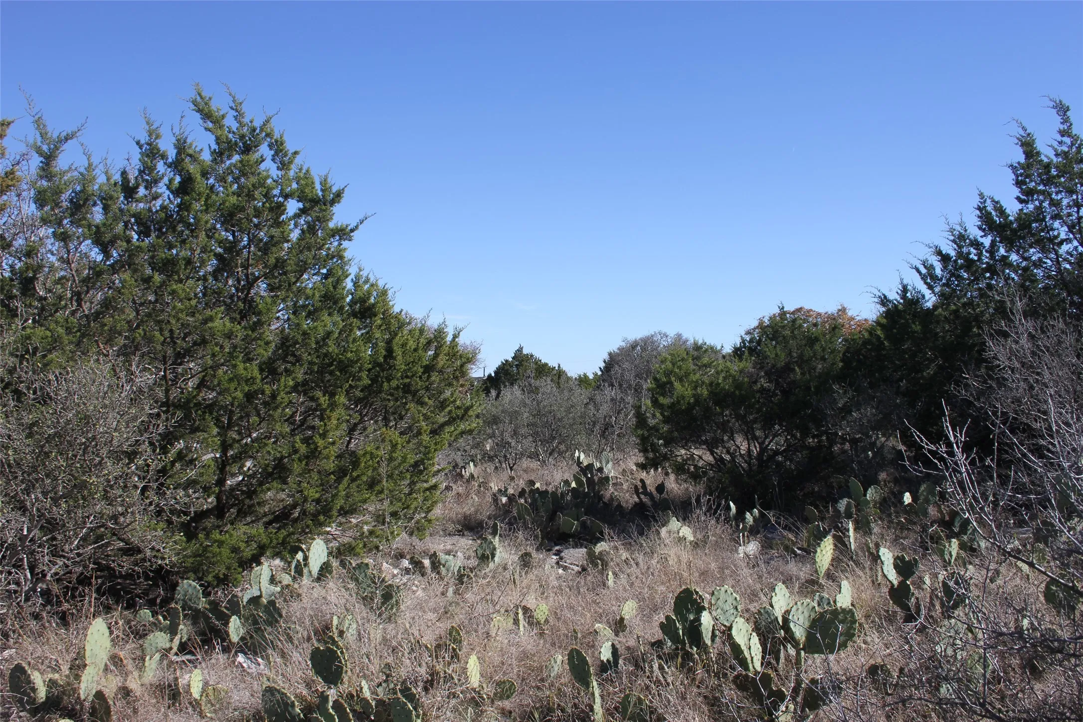 Unimproved Land For Sale in San Saba County , 287 High Plains Drive, San Saba, Texas 76877, 0, 0, Garage spaces, 0 Sqft, built in 0, mls#21132987, Real Estate Agent in San Saba, Homes For Sale in San Saba county, Homes For Sale in San Saba, Realtor in San Saba Texas, Real Estate Brokerage Independent Realty Texas, Luminita Cordes Realtor