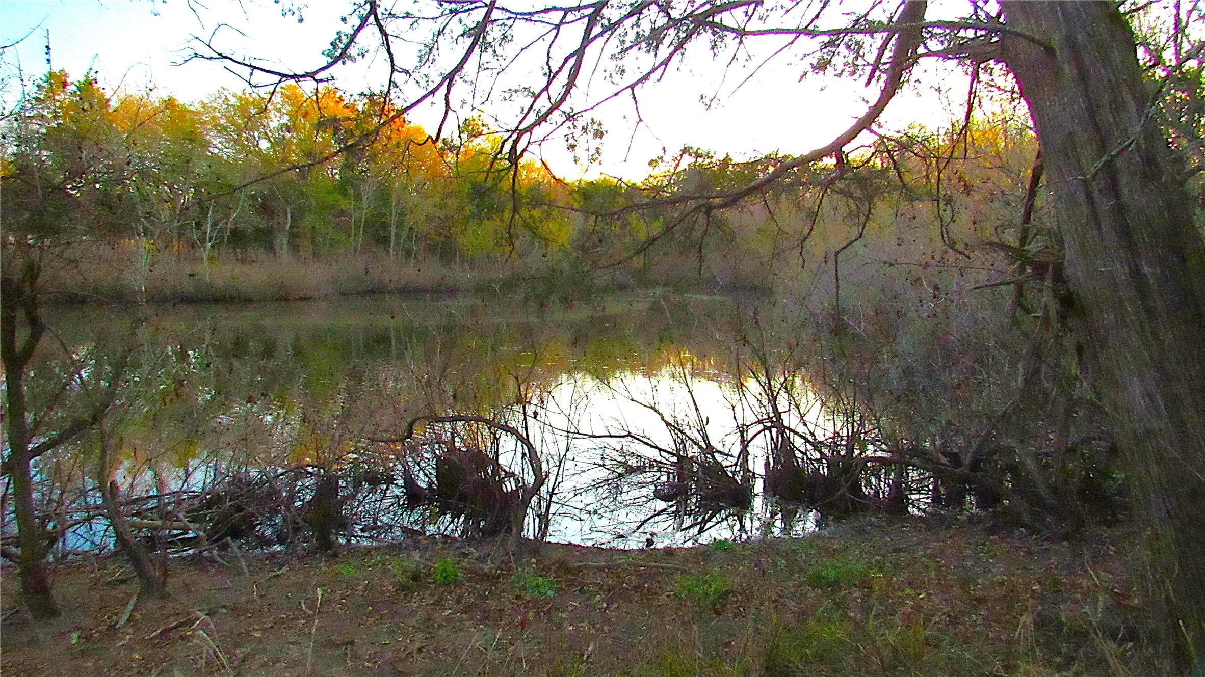 Big pond; Big Texas views