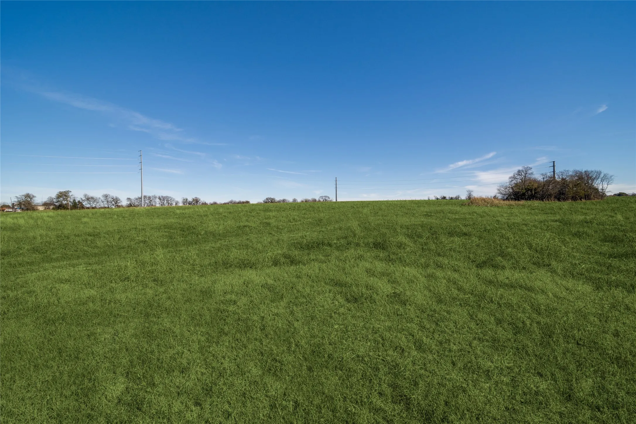 Unimproved Land For Sale in Hunt County , 8903 Wesley Street, Greenville, Texas 75402, 0, 0, Garage spaces, 0 Sqft, built in 0, Proposed, mls#21133369, Real Estate Agent in Greenville, Homes For Sale in Hunt county, Homes For Sale in Greenville, Realtor in Greenville Texas, Real Estate Brokerage Independent Realty Texas, Luminita Cordes Realtor