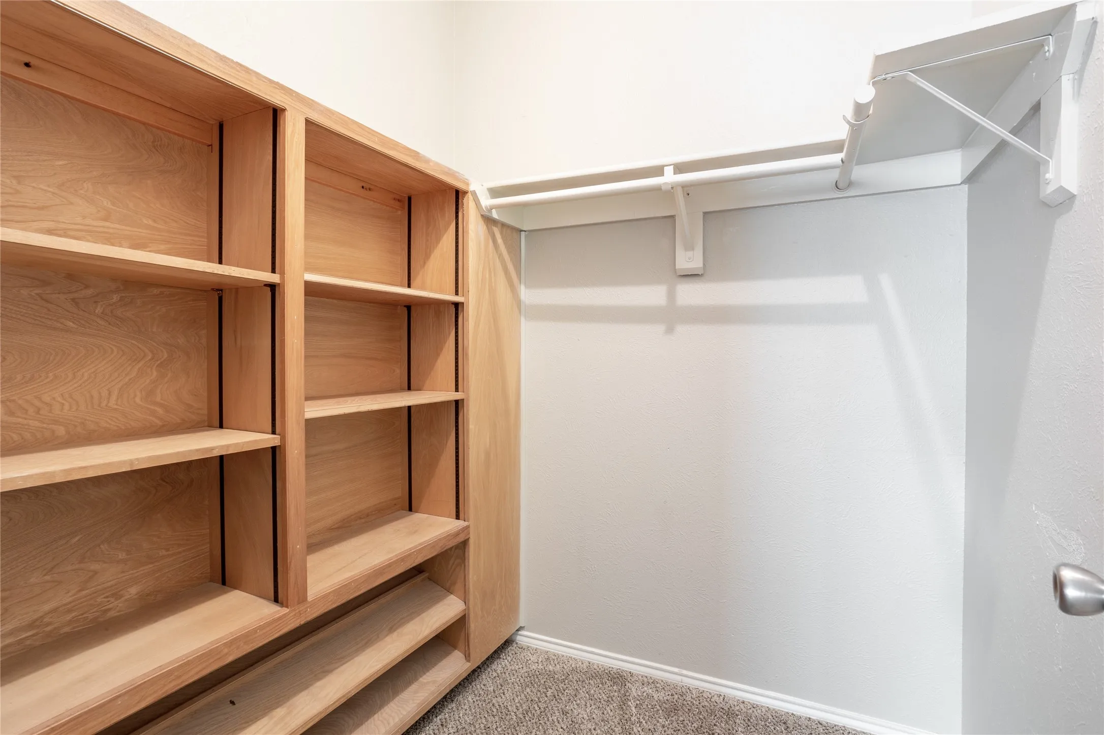 Spacious closet featuring light carpet