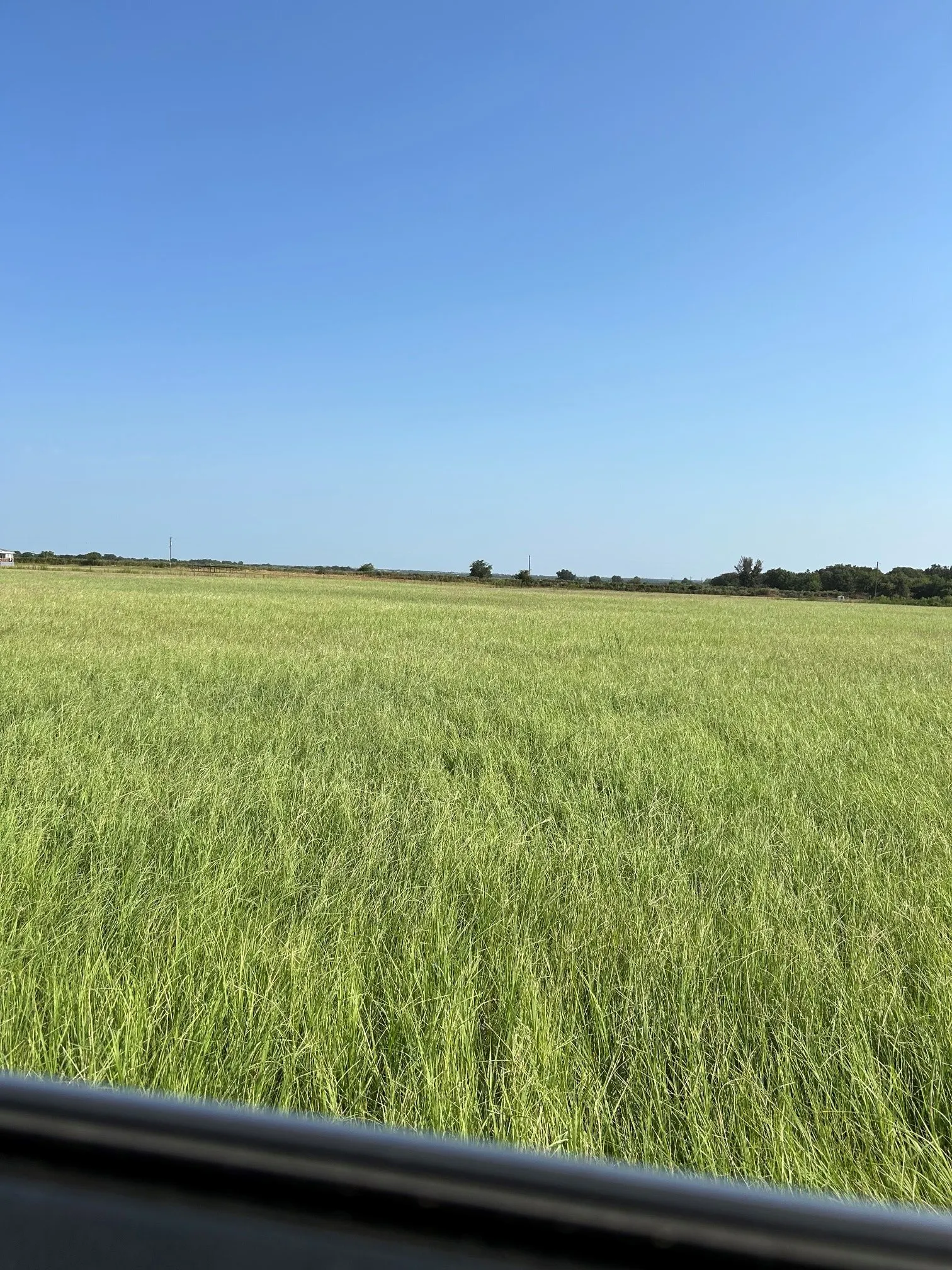 Improved Land For Sale in Comanche County , 300 County Road 467 Tract 1, Gorman, Texas 76454, 0, 0, Garage spaces, 0 Sqft, built in 0, mls#21133414, Real Estate Agent in Gorman, Homes For Sale in Comanche county, Homes For Sale in Gorman, Realtor in Gorman Texas, Real Estate Brokerage Independent Realty Texas, Luminita Cordes Realtor