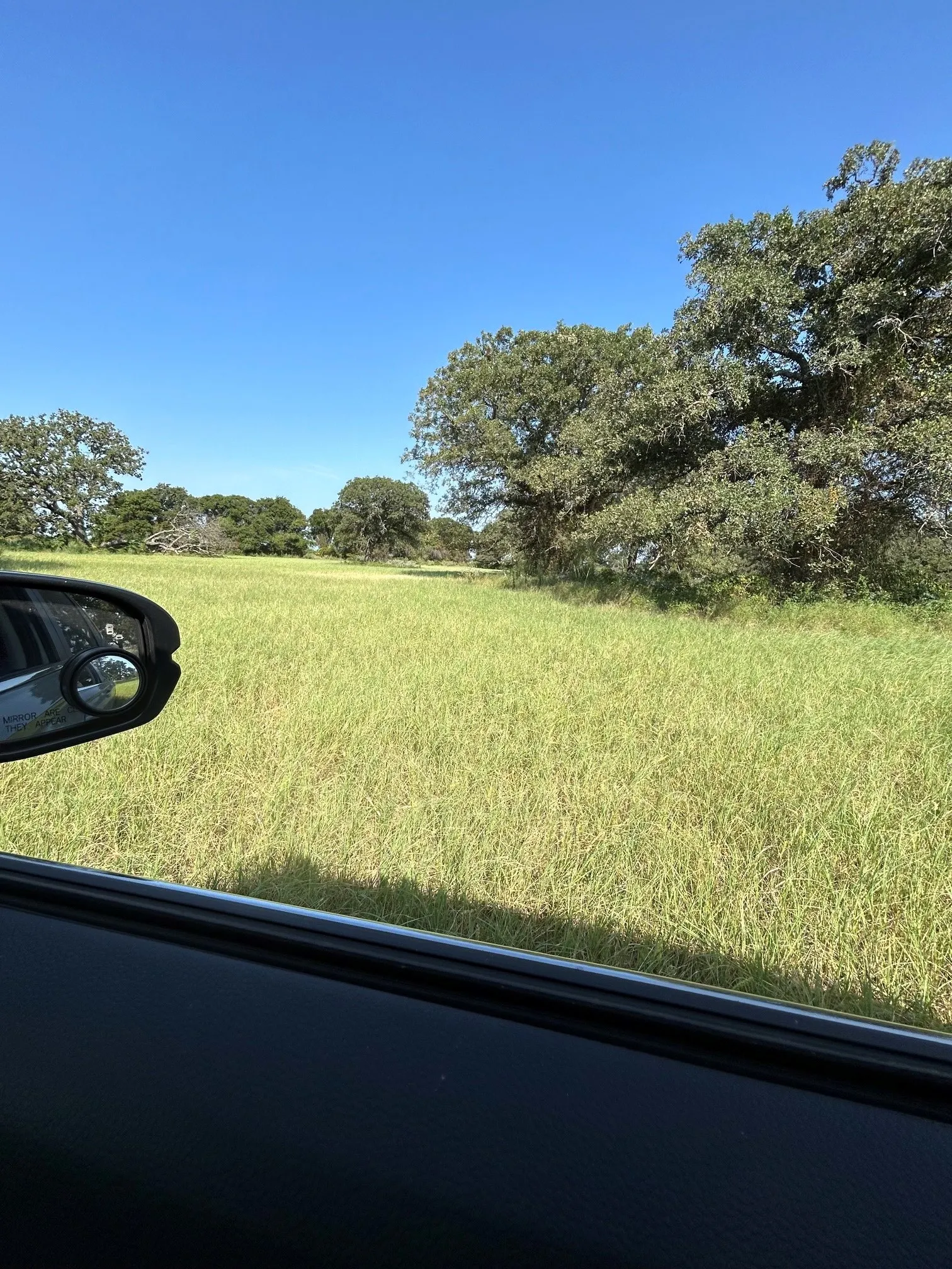 Improved Land For Sale in Comanche County , 300 County Road 467 Tract 1, Gorman, Texas 76454, 0, 0, Garage spaces, 0 Sqft, built in 0, mls#21133414, Real Estate Agent in Gorman, Homes For Sale in Comanche county, Homes For Sale in Gorman, Realtor in Gorman Texas, Real Estate Brokerage Independent Realty Texas, Luminita Cordes Realtor