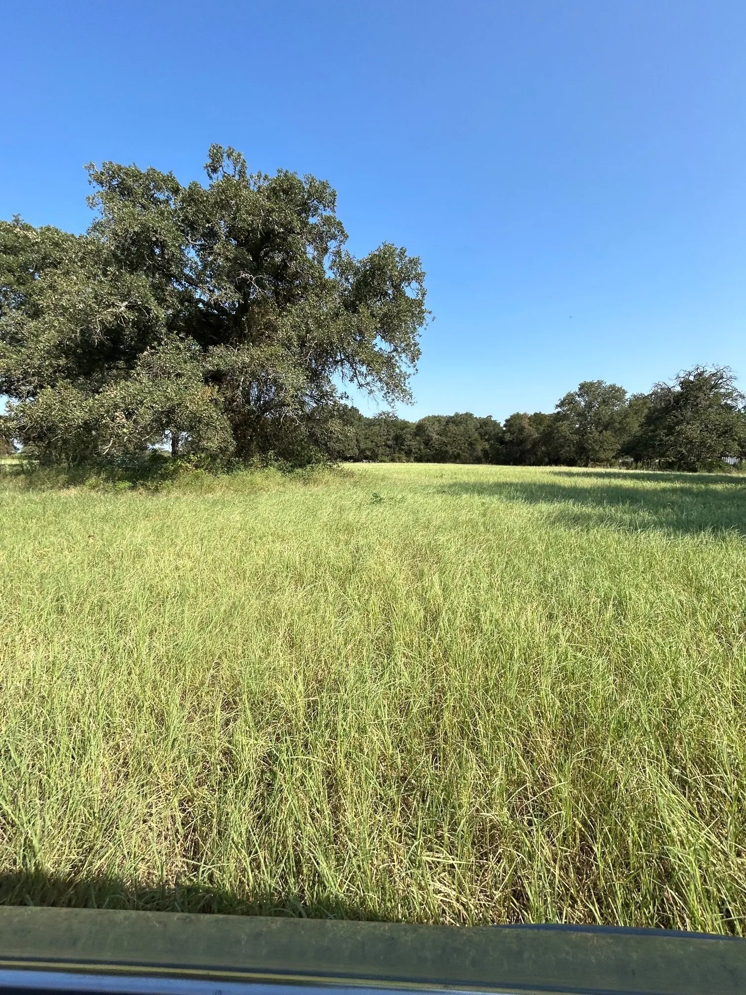 Improved Land For Sale in Comanche County , 300 County Road 467 Tract 1, Gorman, Texas 76454, 0, 0, Garage spaces, 0 Sqft, built in 0, mls#21133414, Real Estate Agent in Gorman, Homes For Sale in Comanche county, Homes For Sale in Gorman, Realtor in Gorman Texas, Real Estate Brokerage Independent Realty Texas, Luminita Cordes Realtor