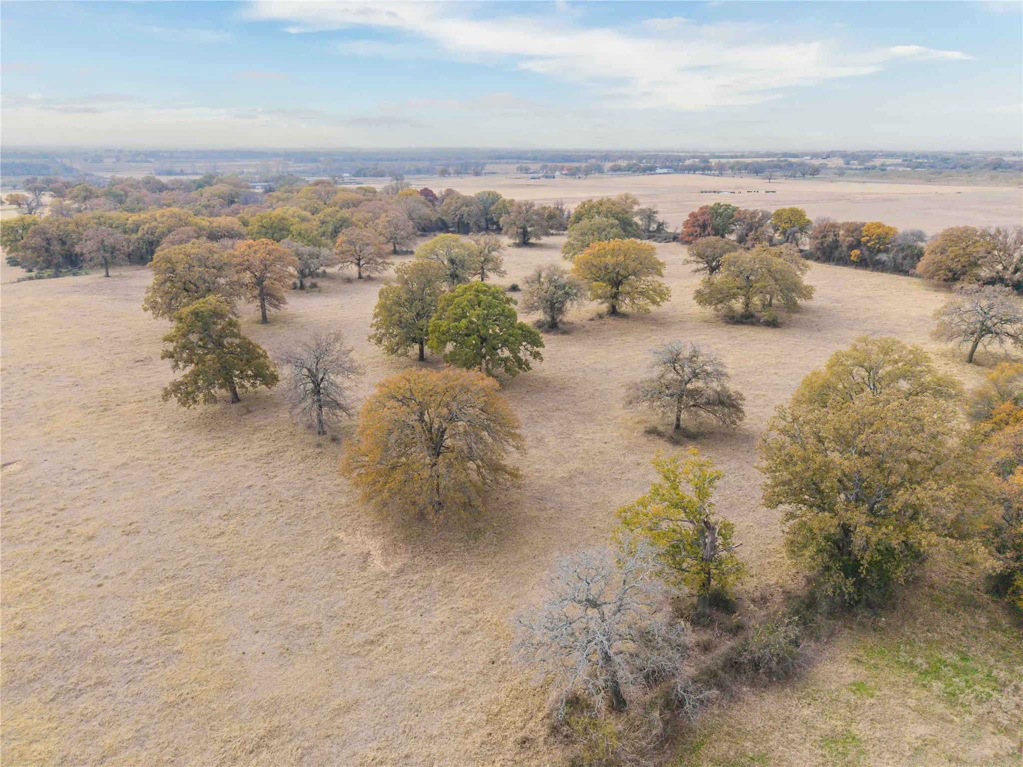 Improved Land For Sale in Comanche County , 300 County Road 467 Tract 1, Gorman, Texas 76454, 0, 0, Garage spaces, 0 Sqft, built in 0, mls#21133414, Real Estate Agent in Gorman, Homes For Sale in Comanche county, Homes For Sale in Gorman, Realtor in Gorman Texas, Real Estate Brokerage Independent Realty Texas, Luminita Cordes Realtor