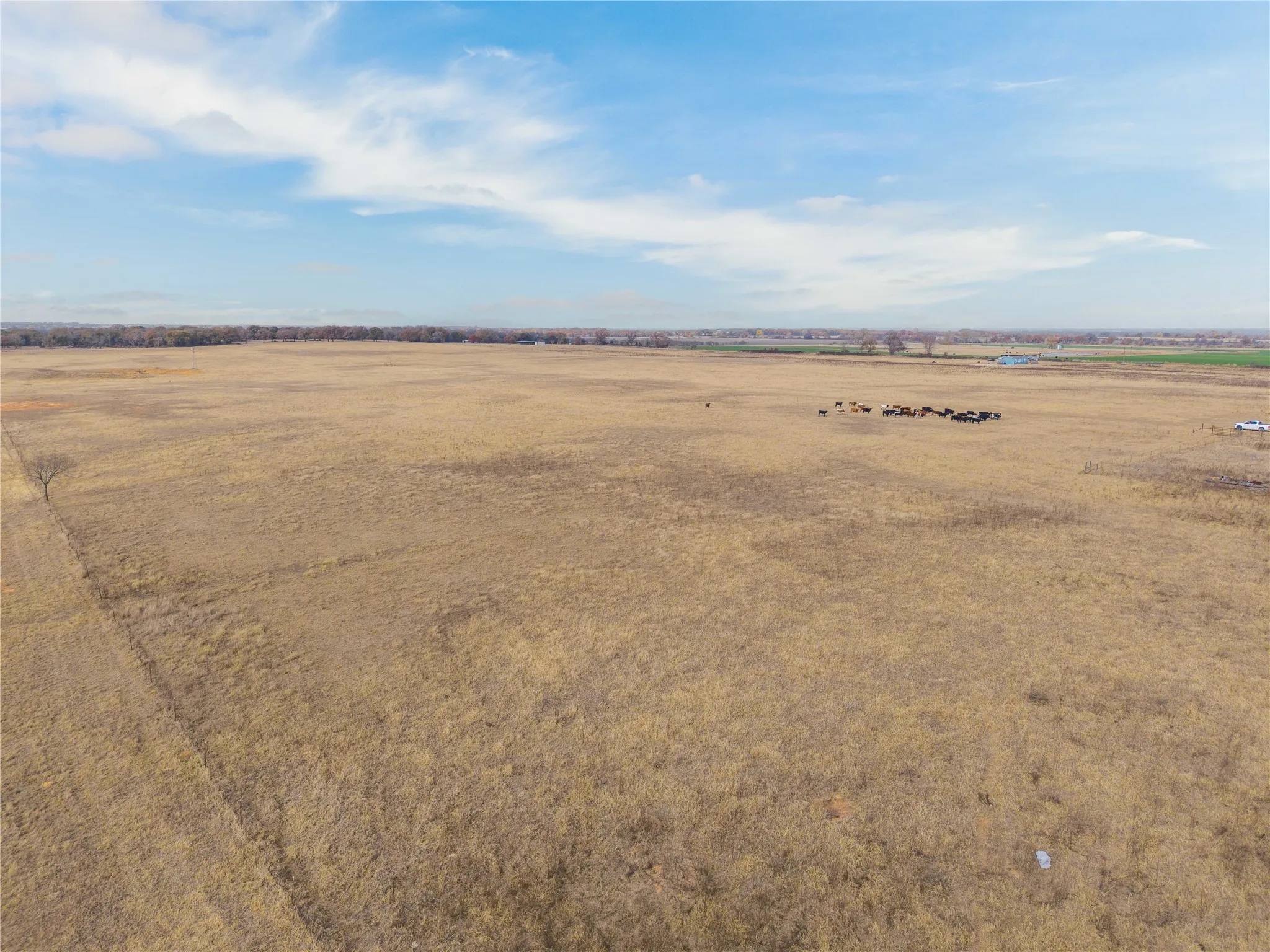 Improved Land For Sale in Comanche County , 300 County Road 467 Tract 1, Gorman, Texas 76454, 0, 0, Garage spaces, 0 Sqft, built in 0, mls#21133414, Real Estate Agent in Gorman, Homes For Sale in Comanche county, Homes For Sale in Gorman, Realtor in Gorman Texas, Real Estate Brokerage Independent Realty Texas, Luminita Cordes Realtor