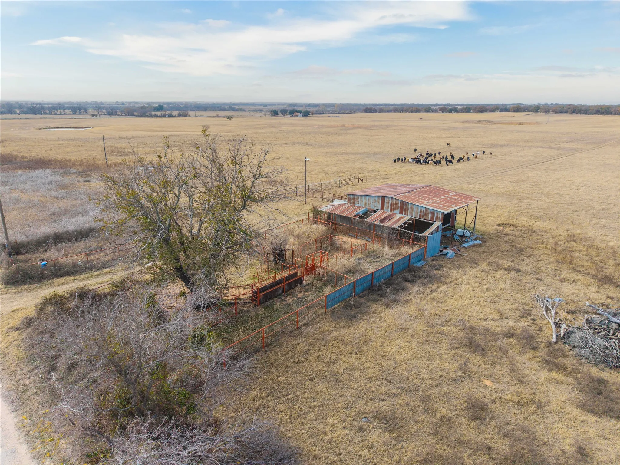 Improved Land For Sale in Comanche County , 300 County Road 467 Tract 1, Gorman, Texas 76454, 0, 0, Garage spaces, 0 Sqft, built in 0, mls#21133414, Real Estate Agent in Gorman, Homes For Sale in Comanche county, Homes For Sale in Gorman, Realtor in Gorman Texas, Real Estate Brokerage Independent Realty Texas, Luminita Cordes Realtor