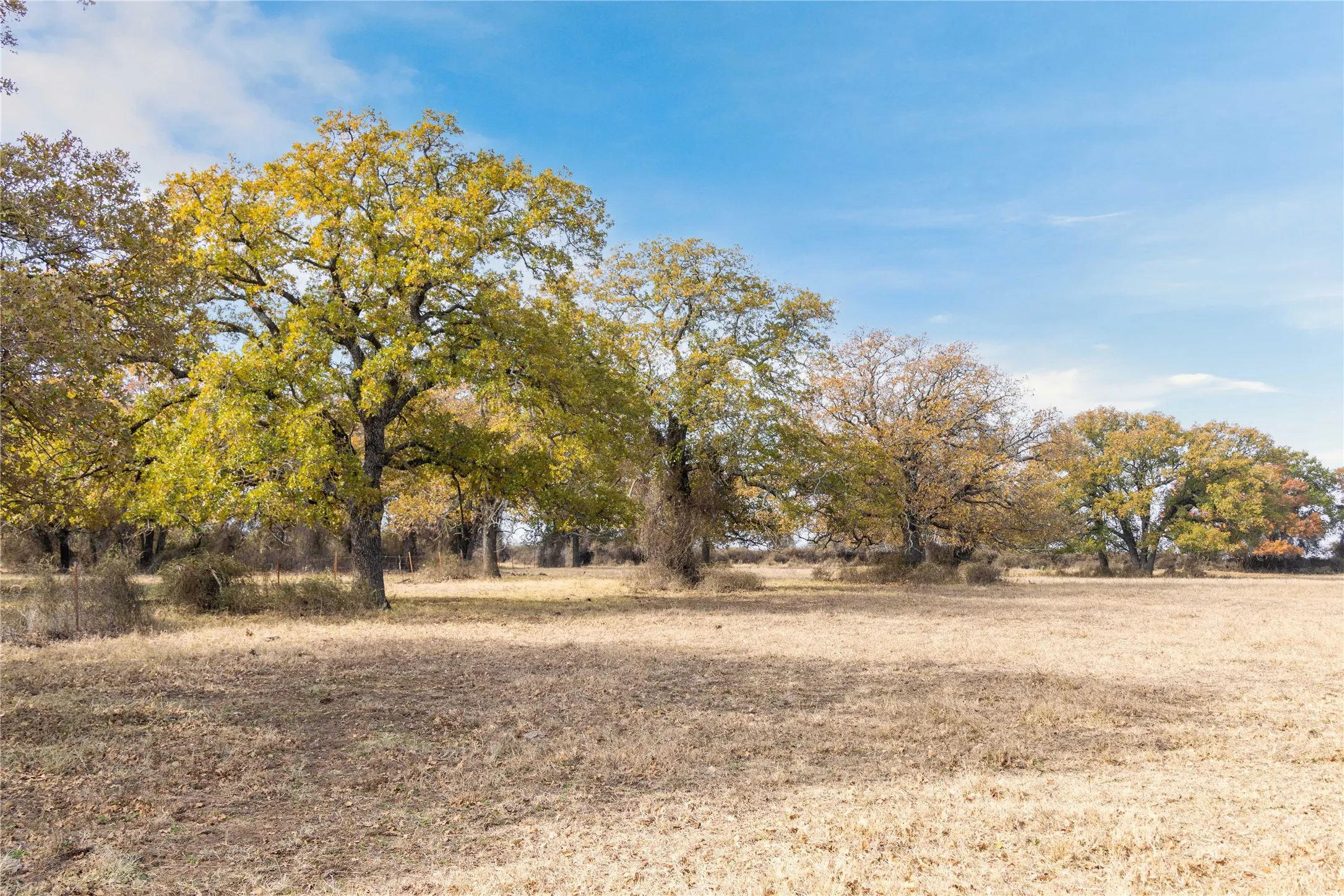 Improved Land For Sale in Comanche County , 300 County Road 467 Tract 1, Gorman, Texas 76454, 0, 0, Garage spaces, 0 Sqft, built in 0, mls#21133414, Real Estate Agent in Gorman, Homes For Sale in Comanche county, Homes For Sale in Gorman, Realtor in Gorman Texas, Real Estate Brokerage Independent Realty Texas, Luminita Cordes Realtor
