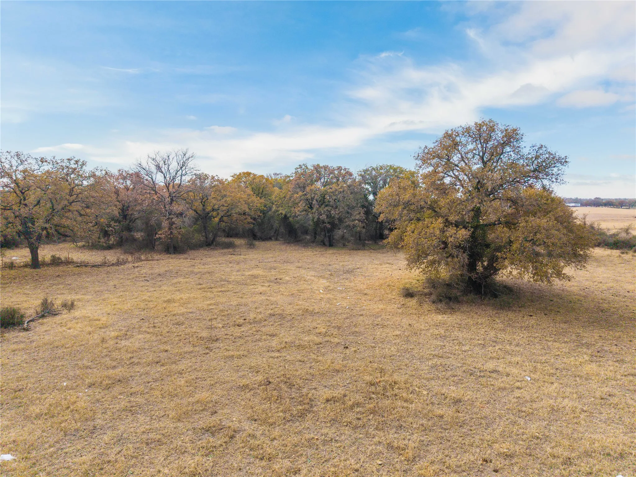 Improved Land For Sale in Comanche County , 300 County Road 467 Tract 1, Gorman, Texas 76454, 0, 0, Garage spaces, 0 Sqft, built in 0, mls#21133414, Real Estate Agent in Gorman, Homes For Sale in Comanche county, Homes For Sale in Gorman, Realtor in Gorman Texas, Real Estate Brokerage Independent Realty Texas, Luminita Cordes Realtor