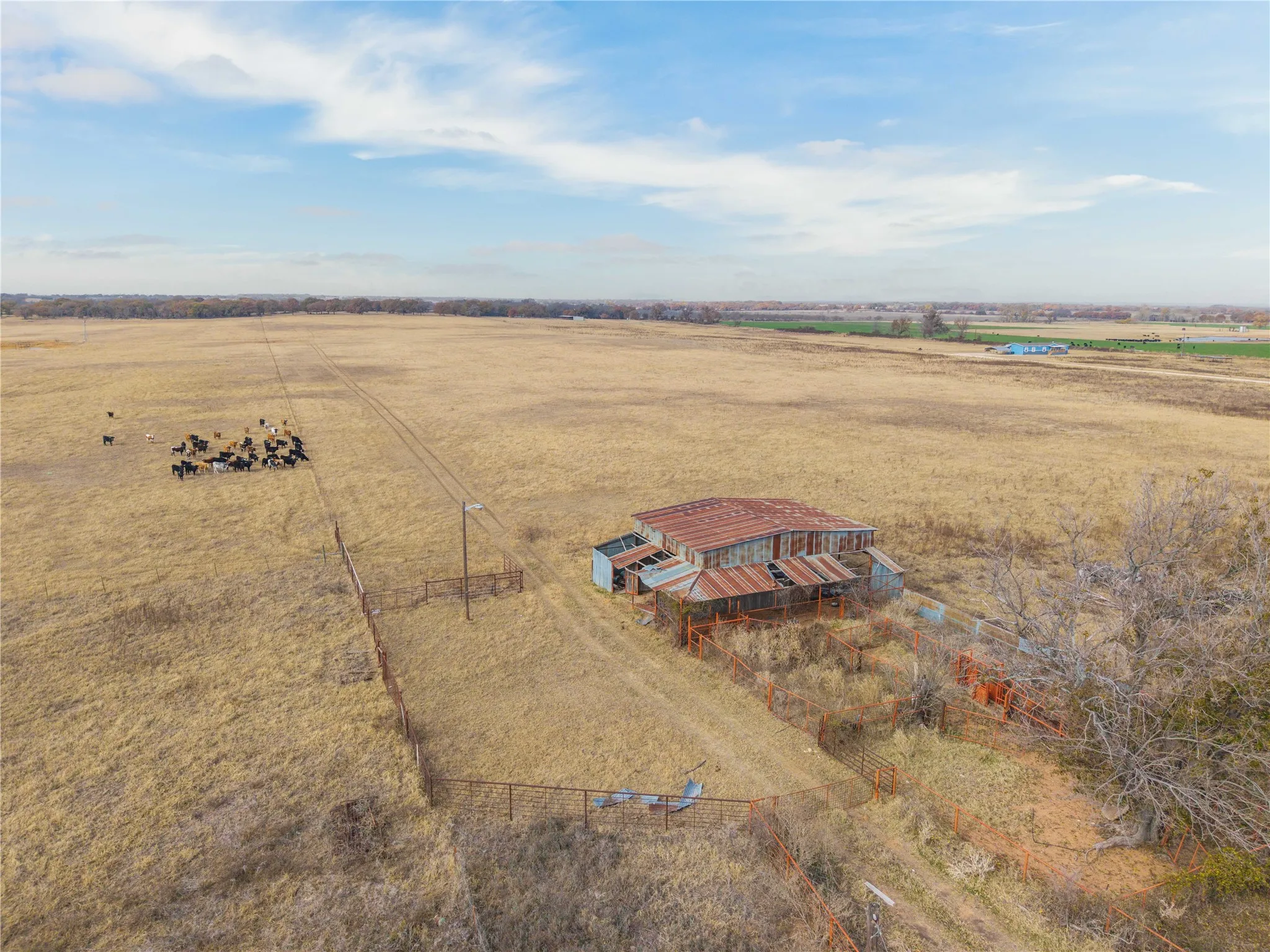 Improved Land For Sale in Comanche County , 300 County Road 467 Tract 1, Gorman, Texas 76454, 0, 0, Garage spaces, 0 Sqft, built in 0, mls#21133414, Real Estate Agent in Gorman, Homes For Sale in Comanche county, Homes For Sale in Gorman, Realtor in Gorman Texas, Real Estate Brokerage Independent Realty Texas, Luminita Cordes Realtor