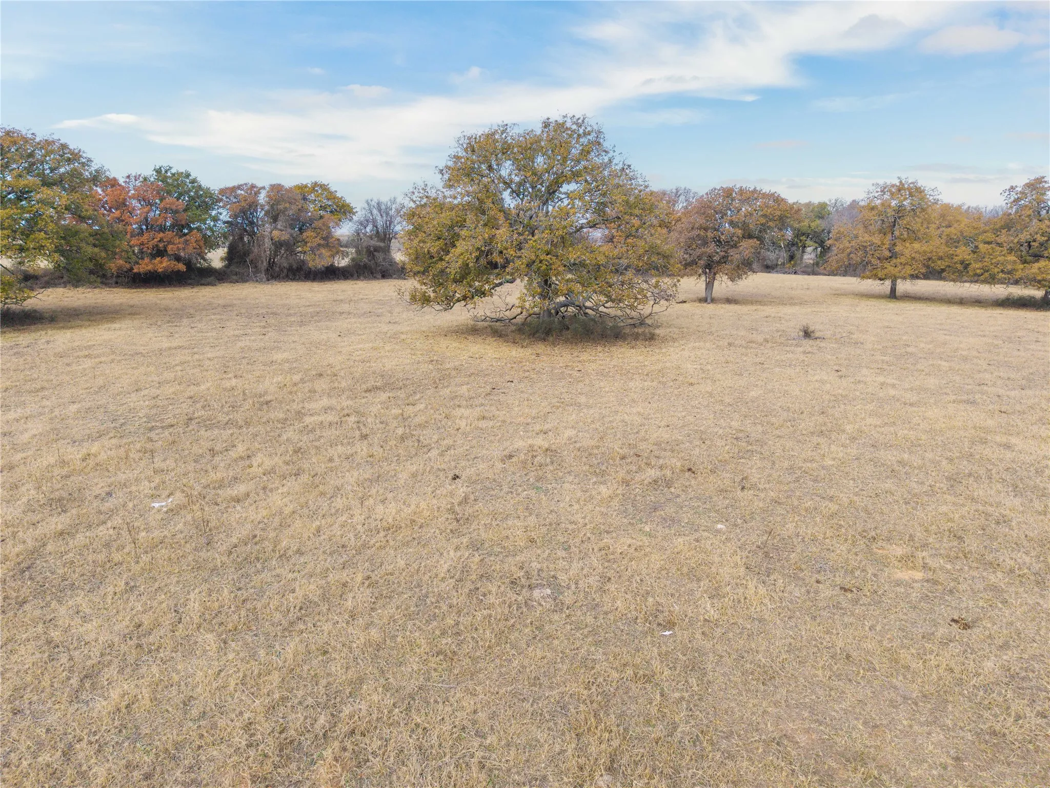 Improved Land For Sale in Comanche County , 300 County Road 467 Tract 1, Gorman, Texas 76454, 0, 0, Garage spaces, 0 Sqft, built in 0, mls#21133414, Real Estate Agent in Gorman, Homes For Sale in Comanche county, Homes For Sale in Gorman, Realtor in Gorman Texas, Real Estate Brokerage Independent Realty Texas, Luminita Cordes Realtor