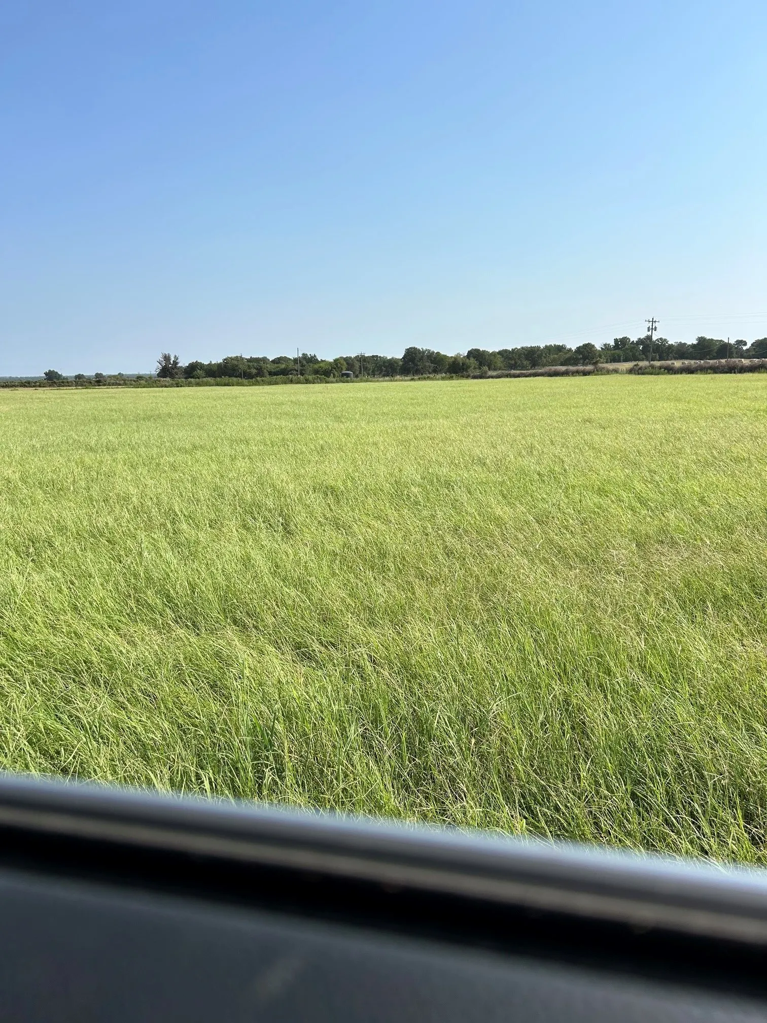 Improved Land For Sale in Comanche County , 300 County Road 467 Tract 1, Gorman, Texas 76454, 0, 0, Garage spaces, 0 Sqft, built in 0, mls#21133414, Real Estate Agent in Gorman, Homes For Sale in Comanche county, Homes For Sale in Gorman, Realtor in Gorman Texas, Real Estate Brokerage Independent Realty Texas, Luminita Cordes Realtor