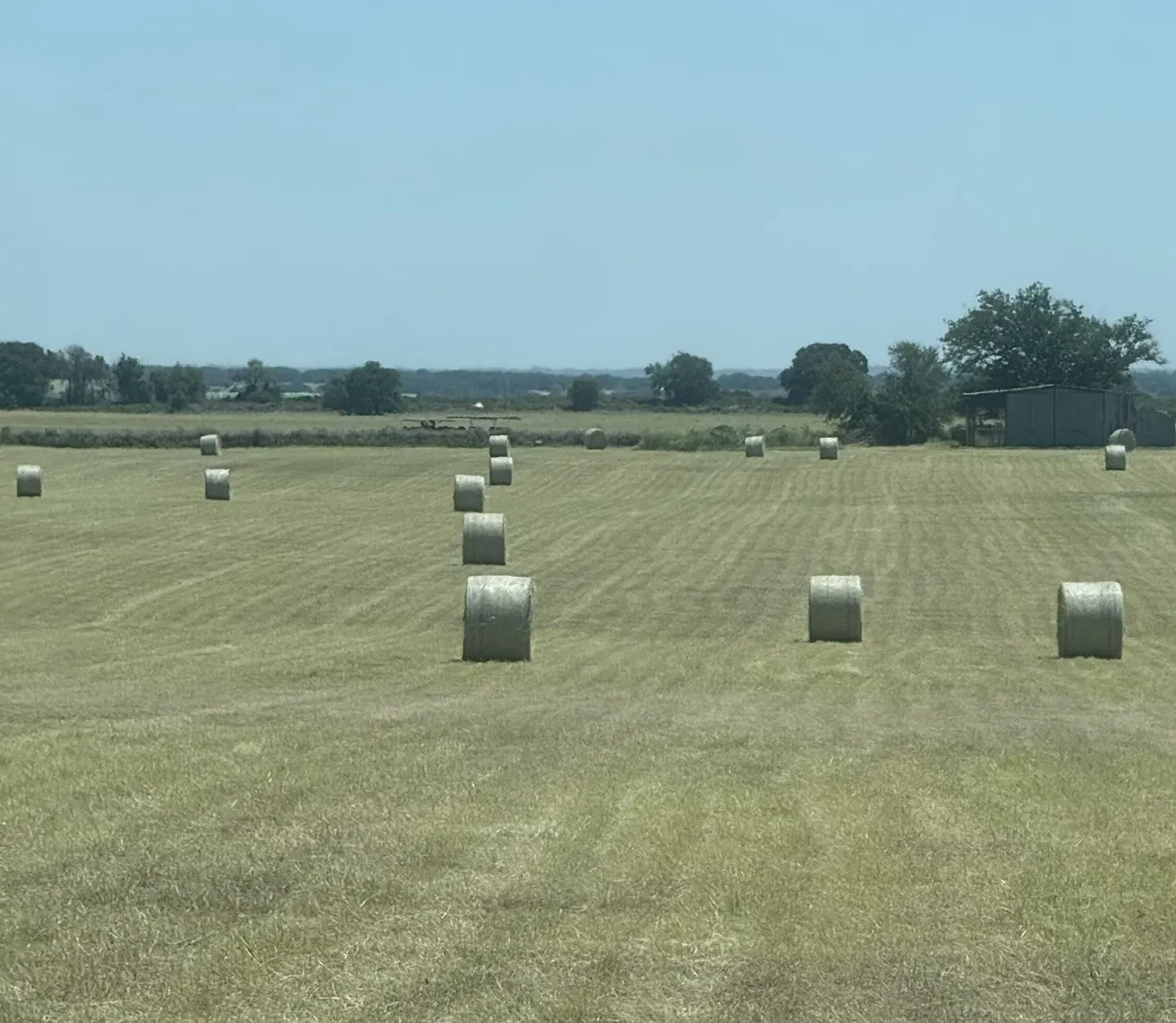 Improved Land For Sale in Comanche County , 300 County Road 467 Tract 1, Gorman, Texas 76454, 0, 0, Garage spaces, 0 Sqft, built in 0, mls#21133414, Real Estate Agent in Gorman, Homes For Sale in Comanche county, Homes For Sale in Gorman, Realtor in Gorman Texas, Real Estate Brokerage Independent Realty Texas, Luminita Cordes Realtor