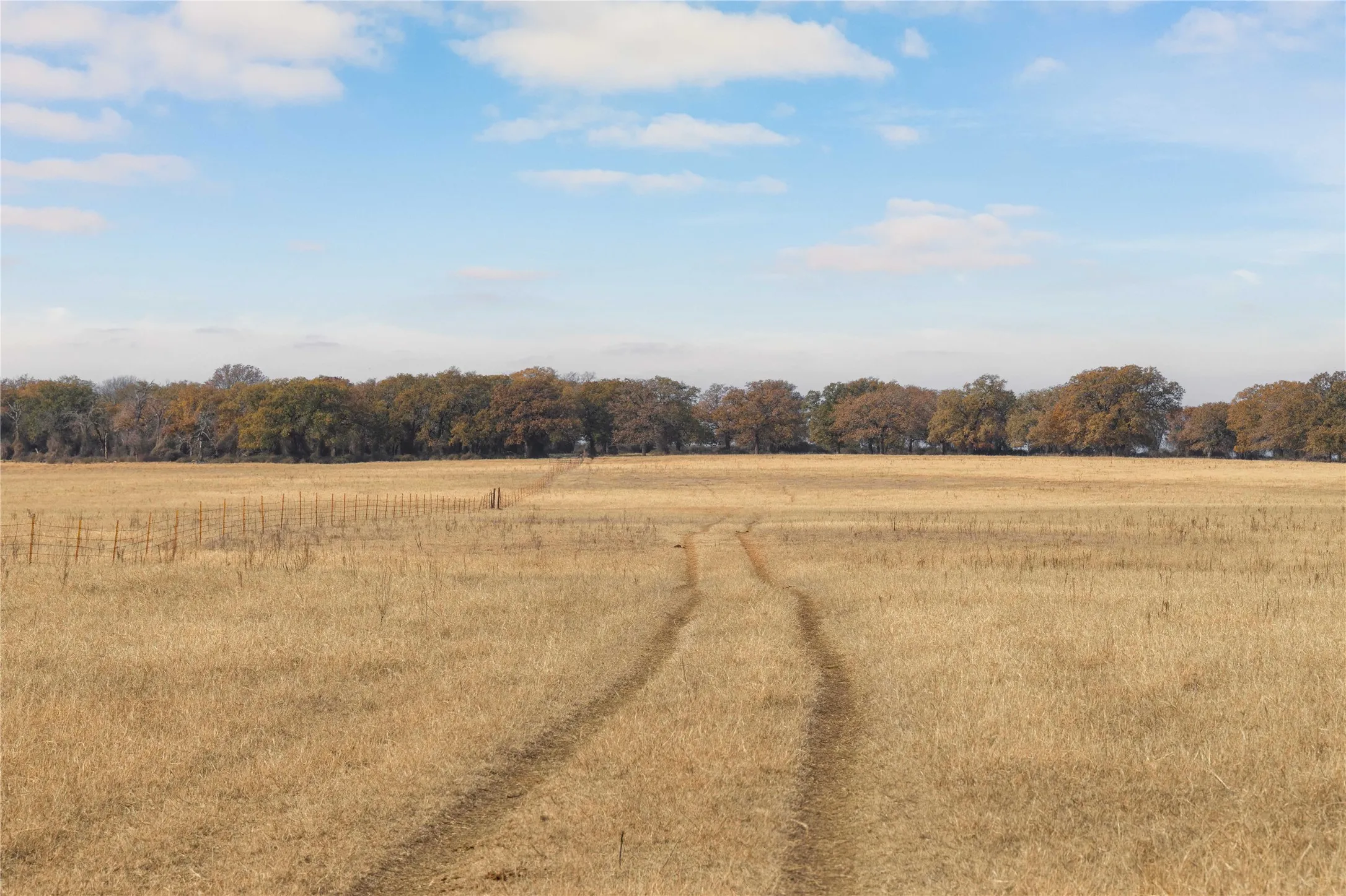 Improved Land For Sale in Comanche County , 300 County Road 467 Tract 1, Gorman, Texas 76454, 0, 0, Garage spaces, 0 Sqft, built in 0, mls#21133414, Real Estate Agent in Gorman, Homes For Sale in Comanche county, Homes For Sale in Gorman, Realtor in Gorman Texas, Real Estate Brokerage Independent Realty Texas, Luminita Cordes Realtor