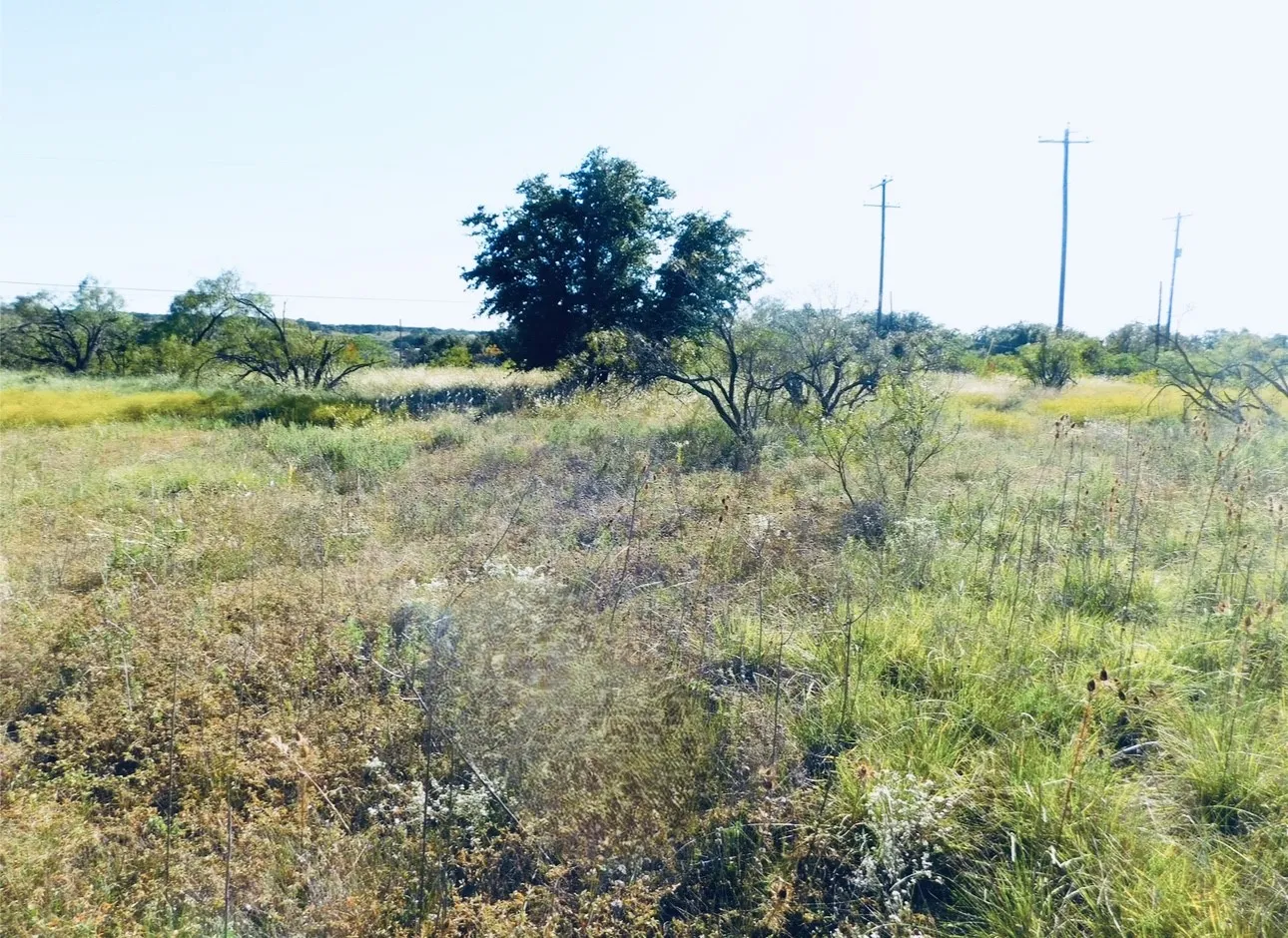 Unimproved Land For Sale in Brown County , 818 & 819 Feather Bay Drive, Brownwood, Texas 76801, 0, 0, Garage spaces, 0 Sqft, built in 0, Price $5,000, mls#21133633, Real Estate Agent in Brownwood, Homes For Sale in Brown county, Homes For Sale in Brownwood, Realtor in Brownwood Texas, Real Estate Brokerage Independent Realty Texas, Luminita Cordes Realtor