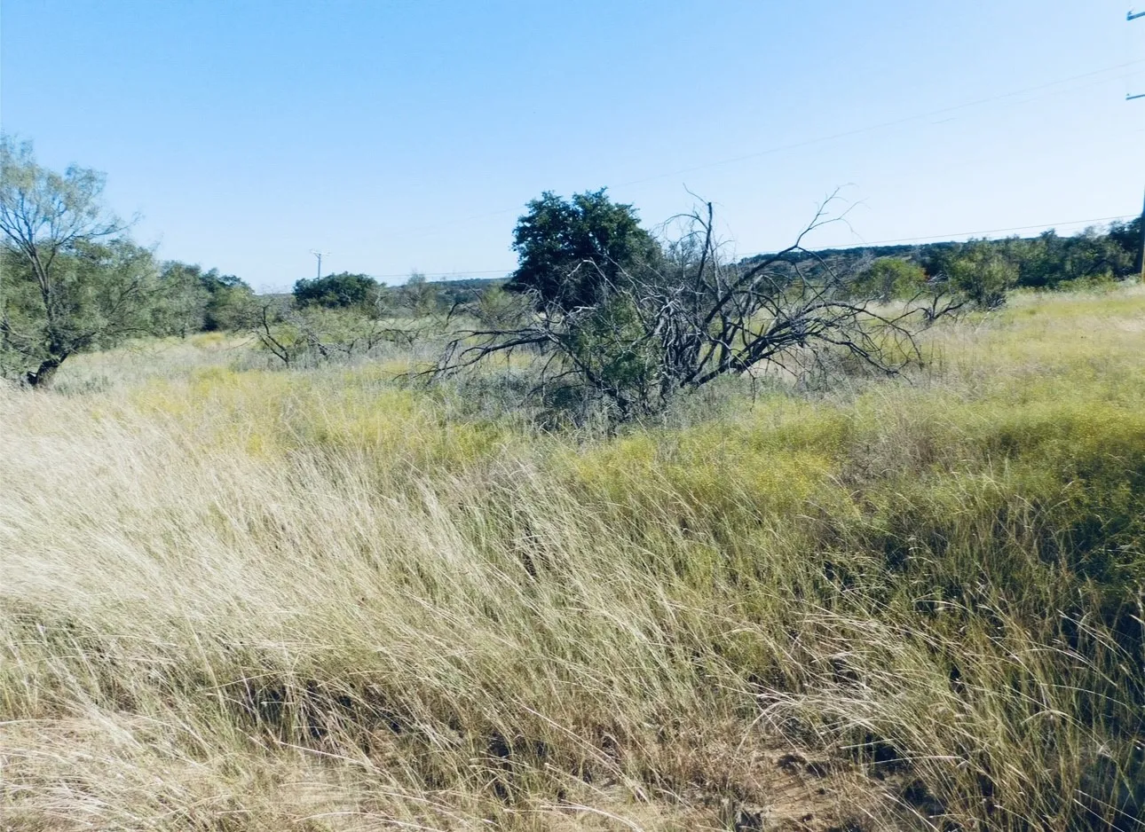 Unimproved Land For Sale in Brown County , 818 & 819 Feather Bay Drive, Brownwood, Texas 76801, 0, 0, Garage spaces, 0 Sqft, built in 0, Price $5,000, mls#21133633, Real Estate Agent in Brownwood, Homes For Sale in Brown county, Homes For Sale in Brownwood, Realtor in Brownwood Texas, Real Estate Brokerage Independent Realty Texas, Luminita Cordes Realtor