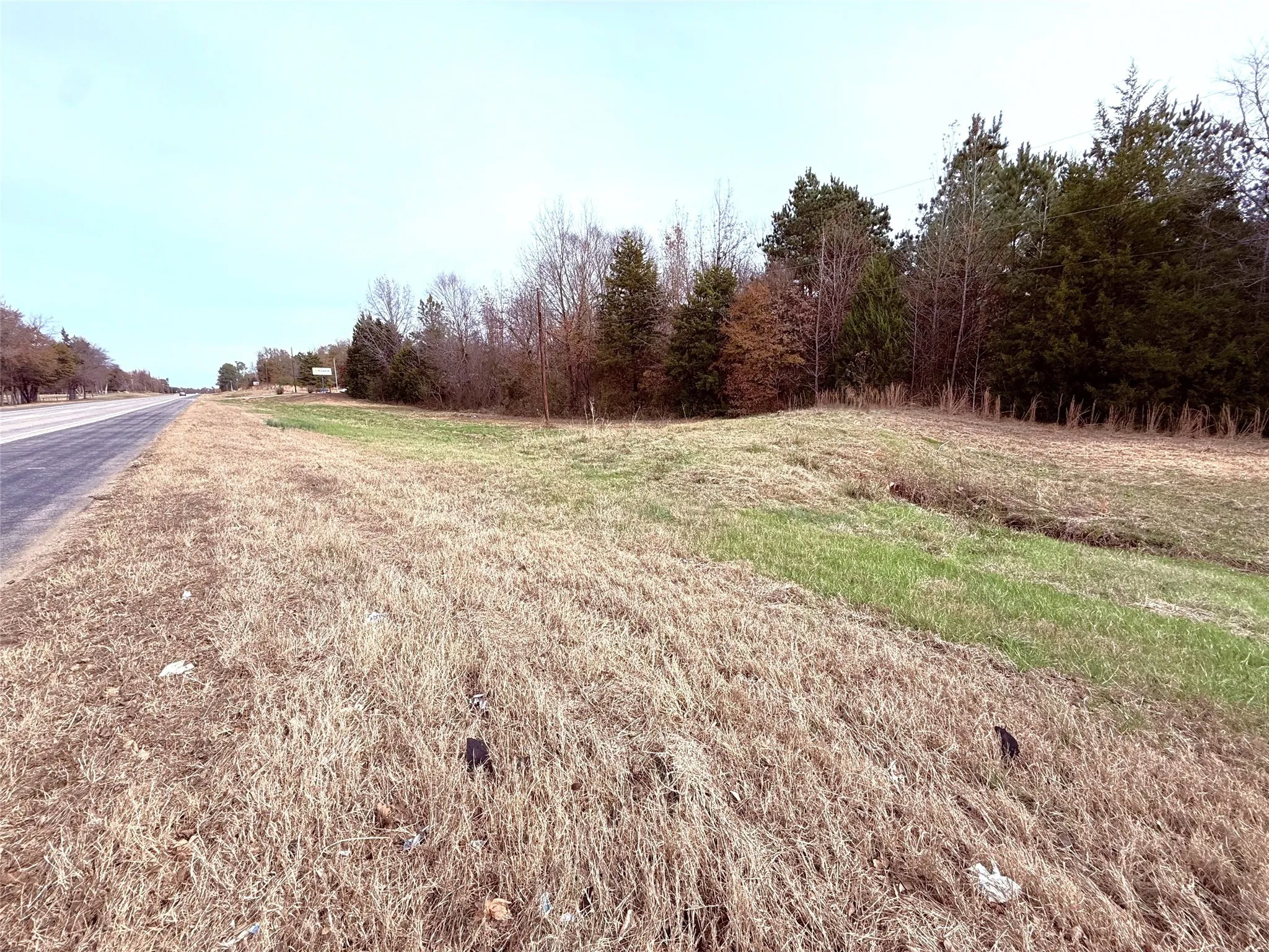 Unimproved Land For Sale in Wood County , 000 Hwy 37, Winnsboro, Texas 75494, 0, 0, Garage spaces, 0 Sqft, built in 0, Price $120,000, mls#21134118, Real Estate Agent in Winnsboro, Homes For Sale in Wood county, Homes For Sale in Winnsboro, Realtor in Winnsboro Texas, Real Estate Brokerage Independent Realty Texas, Luminita Cordes Realtor