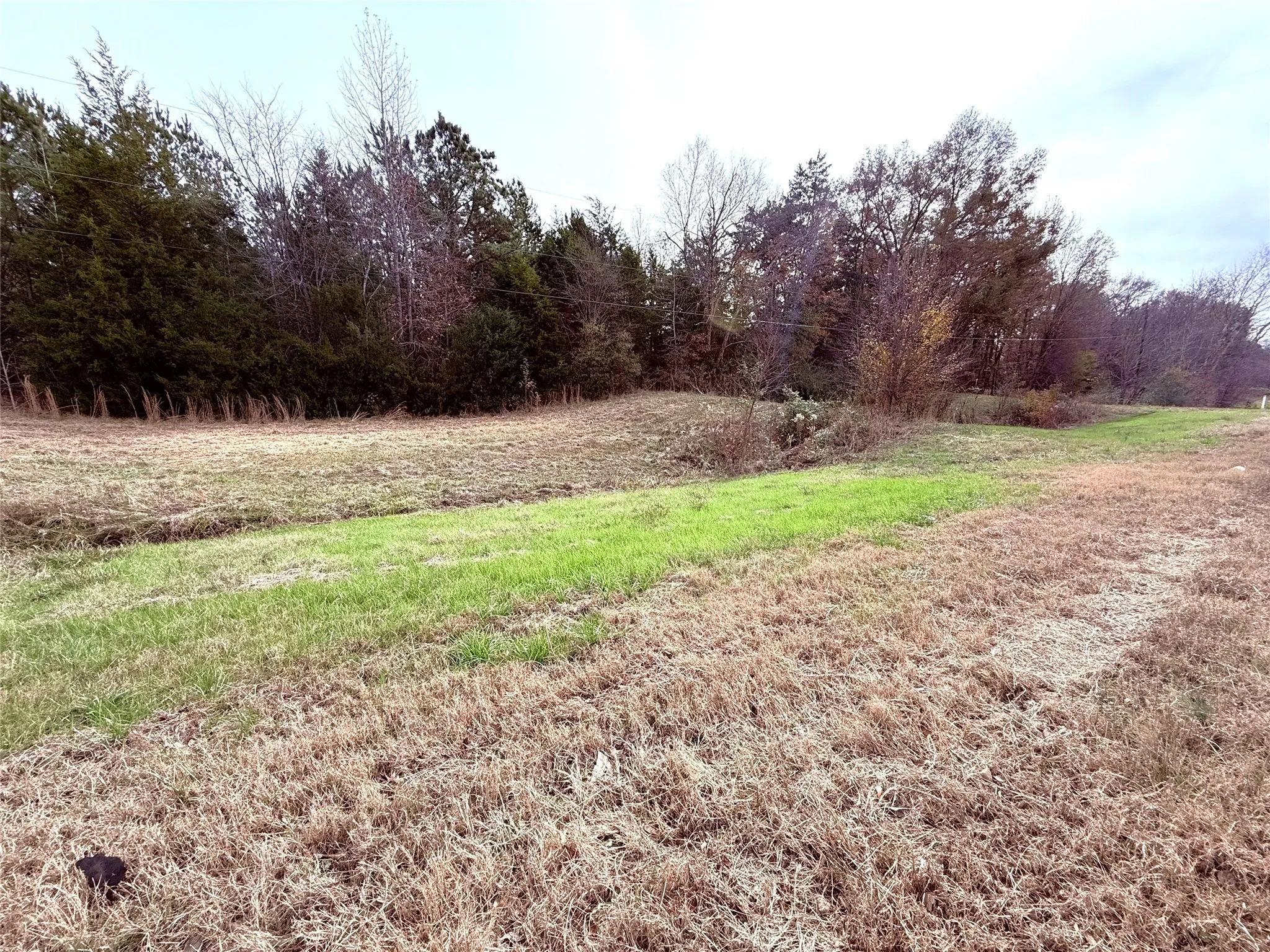 Unimproved Land For Sale in Wood County , 000 Hwy 37, Winnsboro, Texas 75494, 0, 0, Garage spaces, 0 Sqft, built in 0, Price $120,000, mls#21134118, Real Estate Agent in Winnsboro, Homes For Sale in Wood county, Homes For Sale in Winnsboro, Realtor in Winnsboro Texas, Real Estate Brokerage Independent Realty Texas, Luminita Cordes Realtor