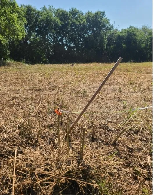 Unimproved Land For Sale in Dallas County , 3218 Claibourne Boulevard, Dallas, Texas 75212, 0, 0, Garage spaces, 0 Sqft, built in 0, Price $41,900, mls#21134560, Real Estate Agent in Dallas, Homes For Sale in Dallas county, Homes For Sale in Dallas, Realtor in Dallas Texas, Real Estate Brokerage Independent Realty Texas, Luminita Cordes Realtor