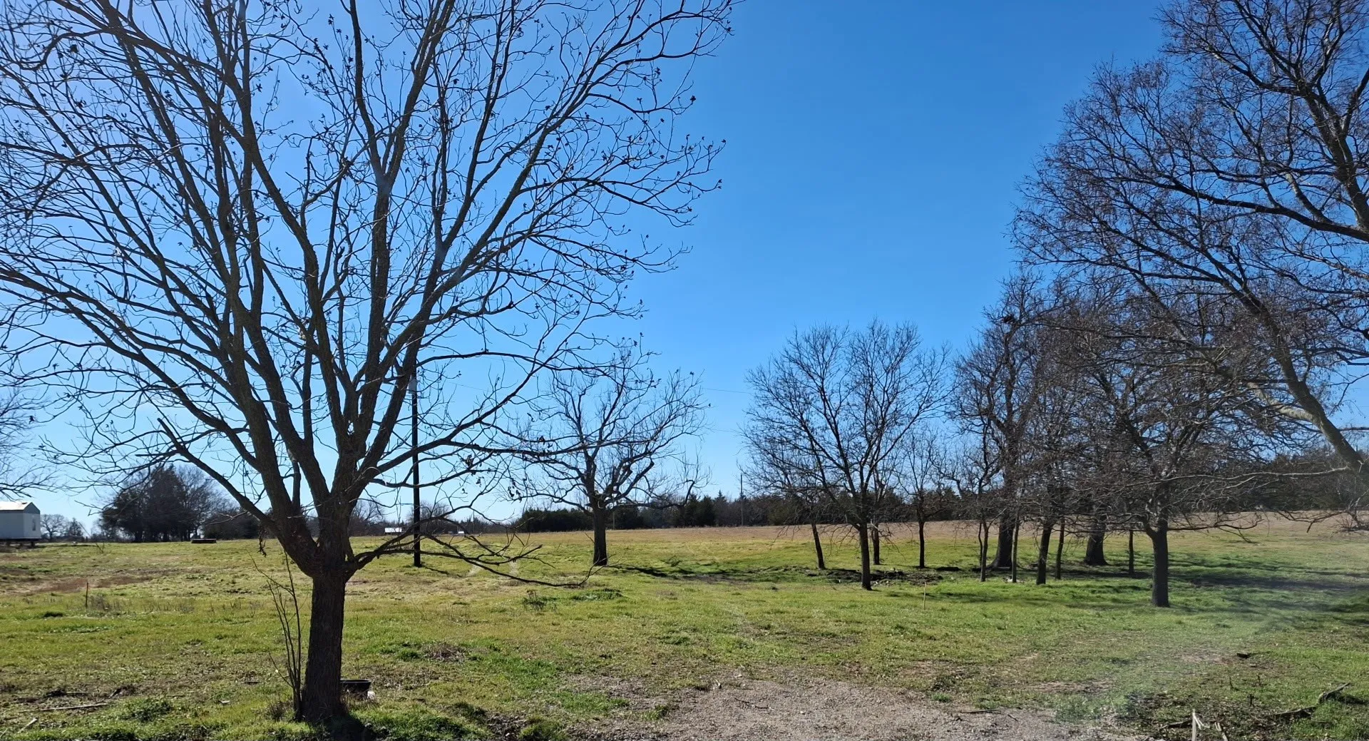 Unimproved Land For Sale in Grayson County , 9408 Dripping Springs Road, Denison, Texas 75021, 0, 0, Garage spaces, 0 Sqft, built in 0, Price $89,000, mls#21134647, Real Estate Agent in Denison, Homes For Sale in Grayson county, Homes For Sale in Denison, Realtor in Denison Texas, Real Estate Brokerage Independent Realty Texas, Luminita Cordes Realtor