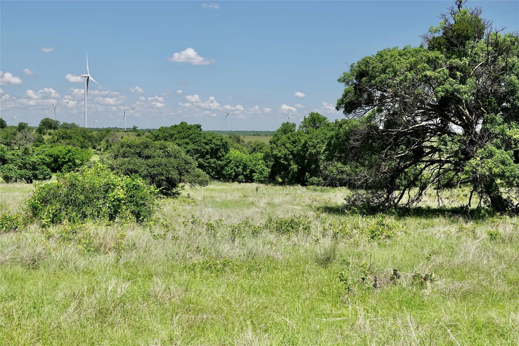 Ranch For Sale in Mills County , 801 N SH 16, Priddy, Texas 76870, 0, 0, Garage spaces, 0 Sqft, built in 0, Price $299,000, mls#21134624, Real Estate Agent in Priddy, Homes For Sale in Mills county, Homes For Sale in Priddy, Realtor in Priddy Texas, Real Estate Brokerage Independent Realty Texas, Luminita Cordes Realtor