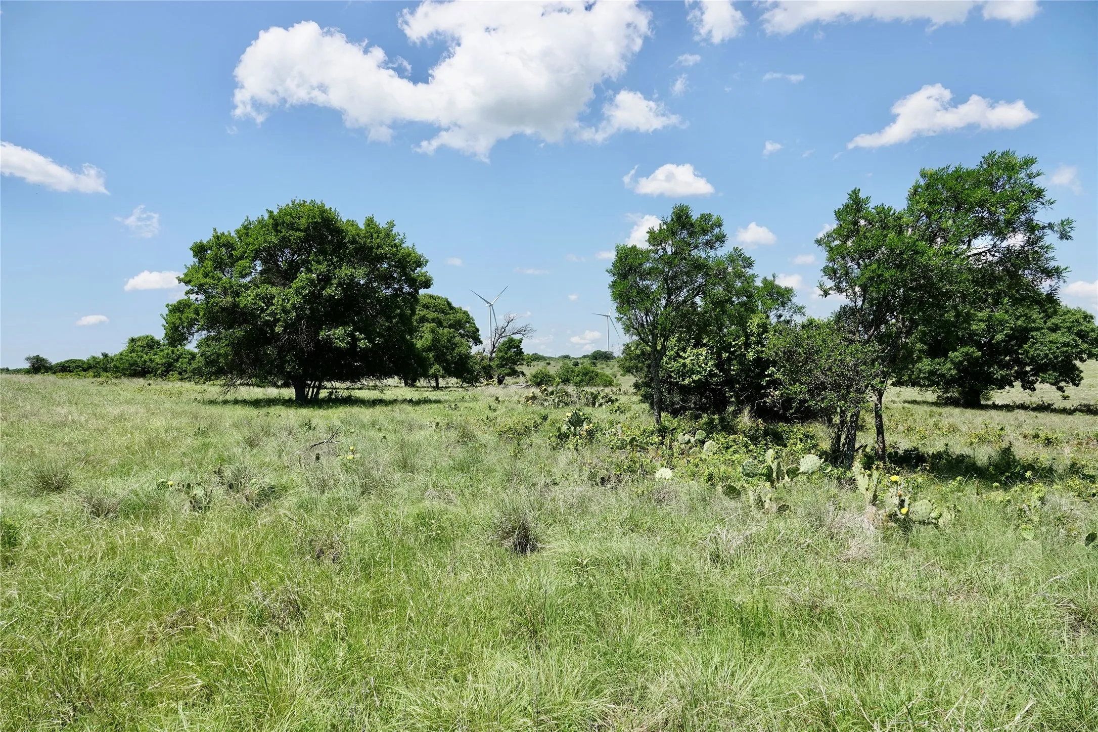Ranch For Sale in Mills County , 801 N SH 16, Priddy, Texas 76870, 0, 0, Garage spaces, 0 Sqft, built in 0, Price $299,000, mls#21134624, Real Estate Agent in Priddy, Homes For Sale in Mills county, Homes For Sale in Priddy, Realtor in Priddy Texas, Real Estate Brokerage Independent Realty Texas, Luminita Cordes Realtor