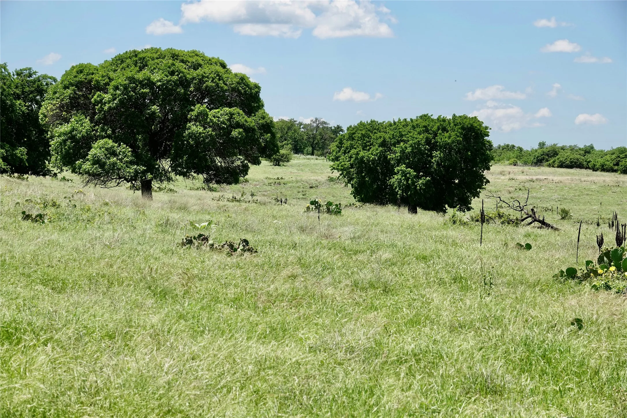 Ranch For Sale in Mills County , 801 N SH 16, Priddy, Texas 76870, 0, 0, Garage spaces, 0 Sqft, built in 0, Price $299,000, mls#21134624, Real Estate Agent in Priddy, Homes For Sale in Mills county, Homes For Sale in Priddy, Realtor in Priddy Texas, Real Estate Brokerage Independent Realty Texas, Luminita Cordes Realtor