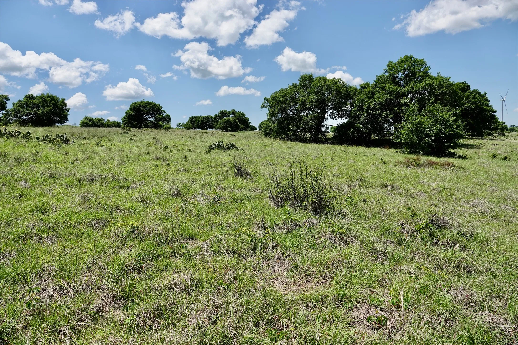 Ranch For Sale in Mills County , 801 N SH 16, Priddy, Texas 76870, 0, 0, Garage spaces, 0 Sqft, built in 0, Price $299,000, mls#21134624, Real Estate Agent in Priddy, Homes For Sale in Mills county, Homes For Sale in Priddy, Realtor in Priddy Texas, Real Estate Brokerage Independent Realty Texas, Luminita Cordes Realtor