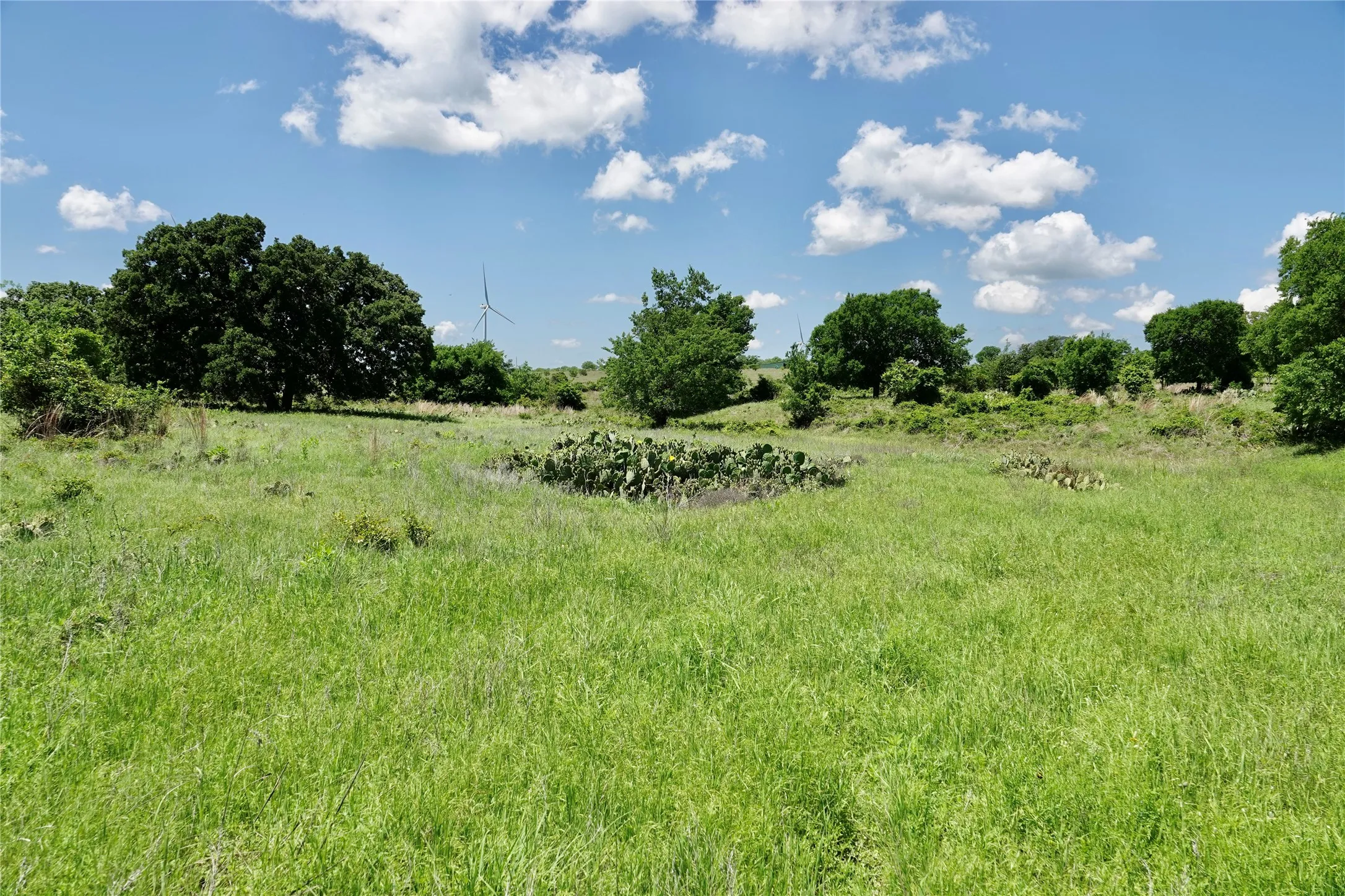 Ranch For Sale in Mills County , 801 N SH 16, Priddy, Texas 76870, 0, 0, Garage spaces, 0 Sqft, built in 0, Price $299,000, mls#21134624, Real Estate Agent in Priddy, Homes For Sale in Mills county, Homes For Sale in Priddy, Realtor in Priddy Texas, Real Estate Brokerage Independent Realty Texas, Luminita Cordes Realtor