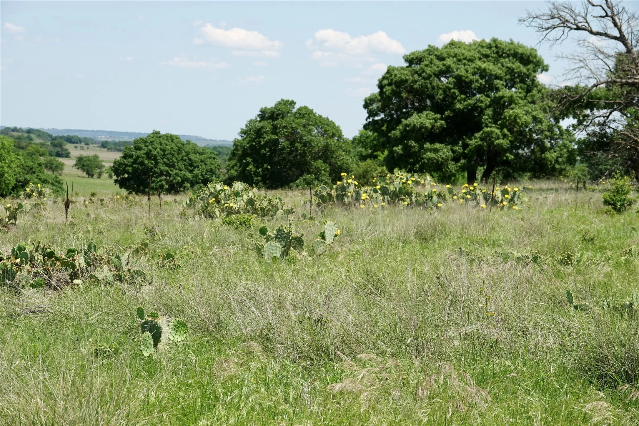 Ranch For Sale in Mills County , 801 N SH 16, Priddy, Texas 76870, 0, 0, Garage spaces, 0 Sqft, built in 0, Price $299,000, mls#21134624, Real Estate Agent in Priddy, Homes For Sale in Mills county, Homes For Sale in Priddy, Realtor in Priddy Texas, Real Estate Brokerage Independent Realty Texas, Luminita Cordes Realtor