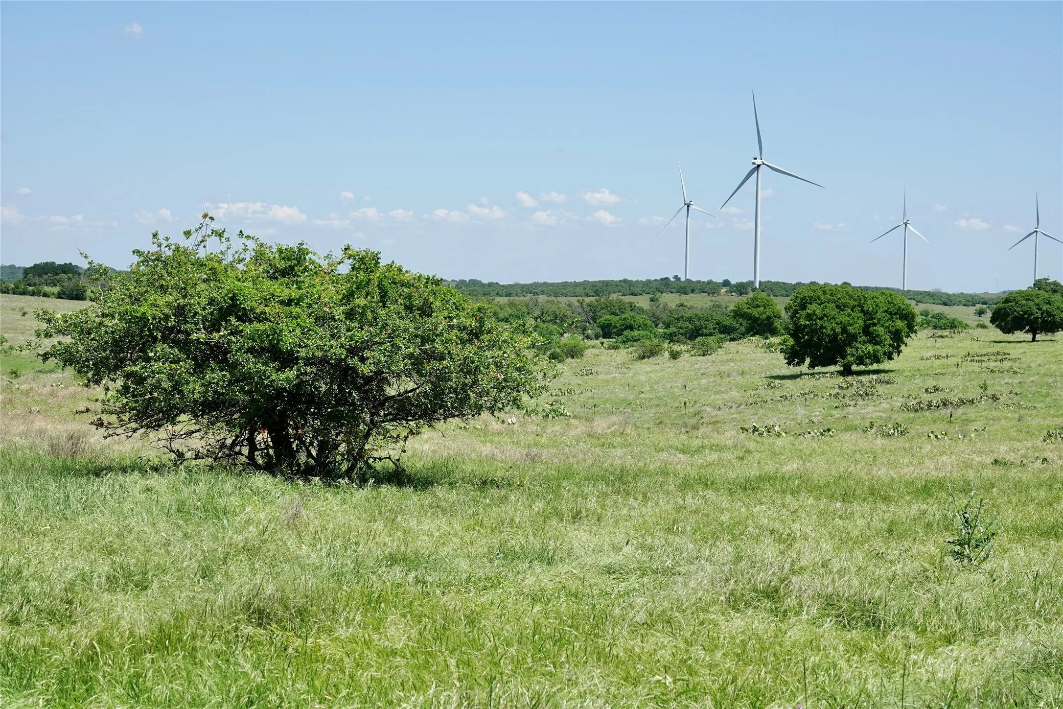 Ranch For Sale in Mills County , 801 N SH 16, Priddy, Texas 76870, 0, 0, Garage spaces, 0 Sqft, built in 0, Price $299,000, mls#21134624, Real Estate Agent in Priddy, Homes For Sale in Mills county, Homes For Sale in Priddy, Realtor in Priddy Texas, Real Estate Brokerage Independent Realty Texas, Luminita Cordes Realtor