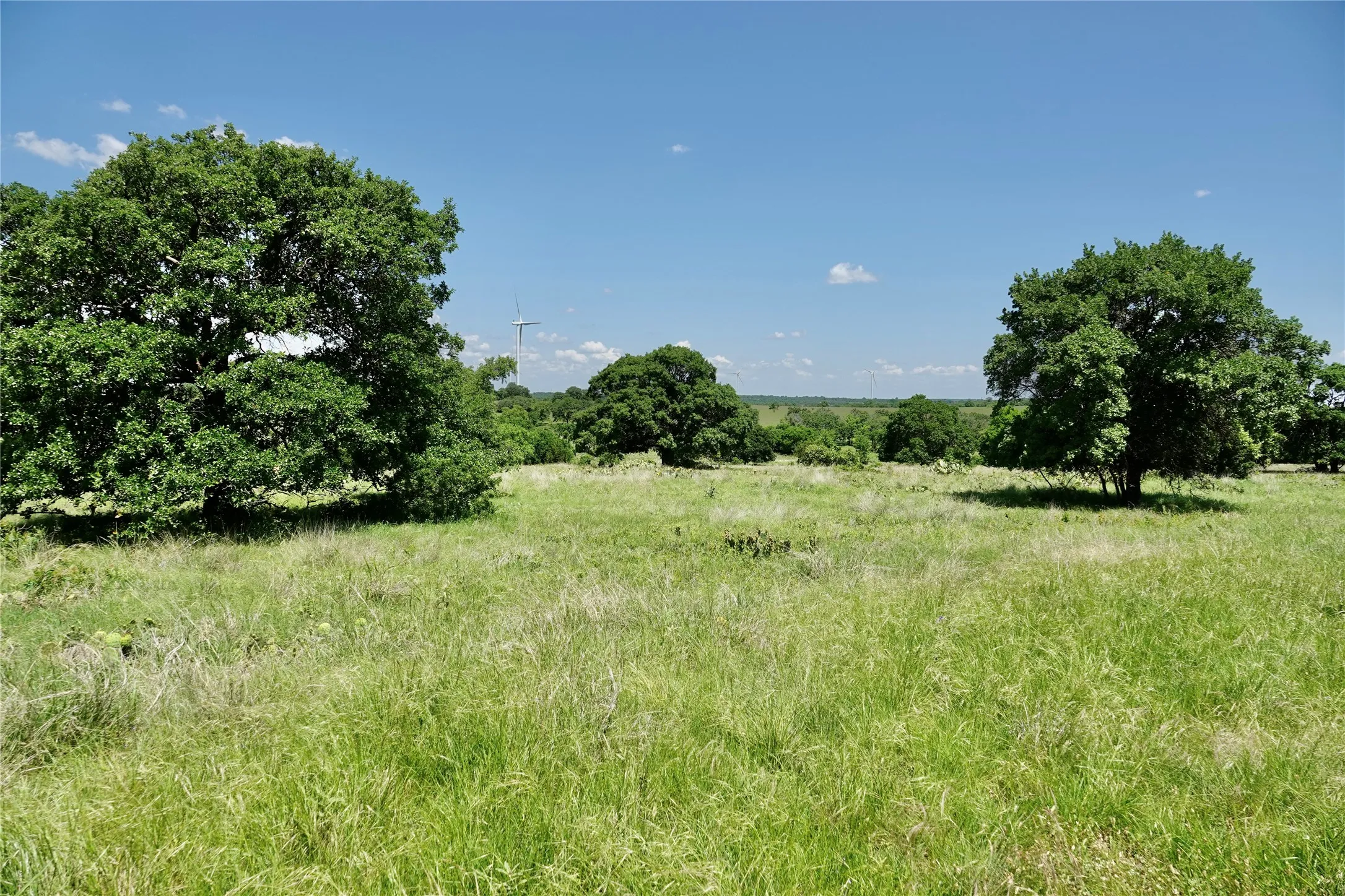 Ranch For Sale in Mills County , 801 N SH 16, Priddy, Texas 76870, 0, 0, Garage spaces, 0 Sqft, built in 0, Price $299,000, mls#21134624, Real Estate Agent in Priddy, Homes For Sale in Mills county, Homes For Sale in Priddy, Realtor in Priddy Texas, Real Estate Brokerage Independent Realty Texas, Luminita Cordes Realtor
