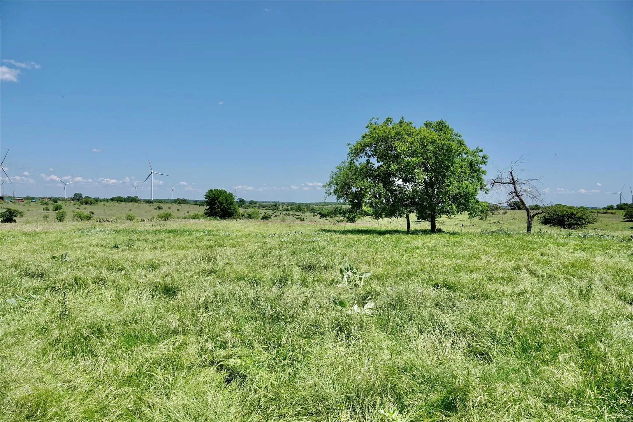 Ranch For Sale in Mills County , 801 N SH 16, Priddy, Texas 76870, 0, 0, Garage spaces, 0 Sqft, built in 0, Price $299,000, mls#21134624, Real Estate Agent in Priddy, Homes For Sale in Mills county, Homes For Sale in Priddy, Realtor in Priddy Texas, Real Estate Brokerage Independent Realty Texas, Luminita Cordes Realtor