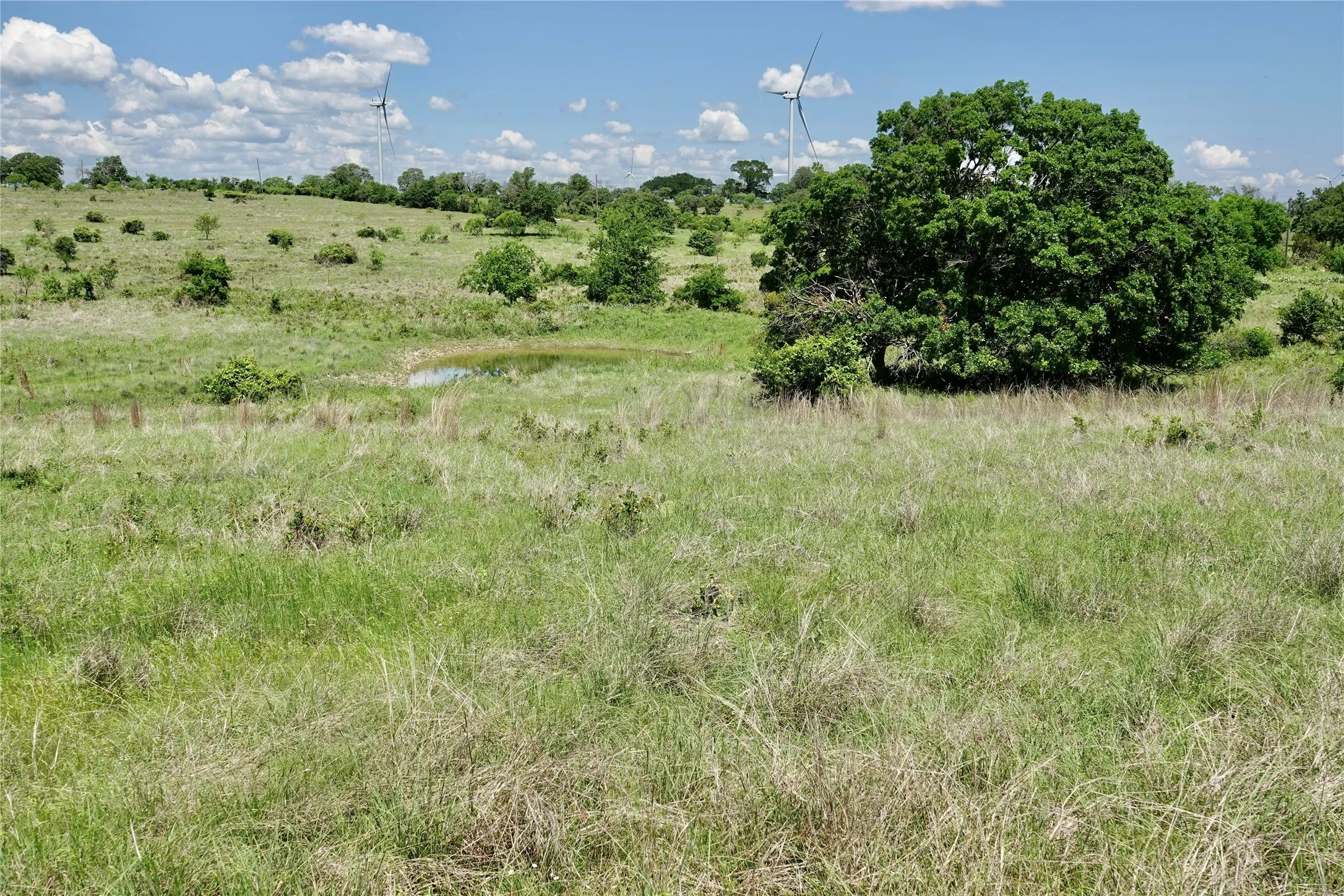Ranch For Sale in Mills County , 801 N SH 16, Priddy, Texas 76870, 0, 0, Garage spaces, 0 Sqft, built in 0, Price $299,000, mls#21134624, Real Estate Agent in Priddy, Homes For Sale in Mills county, Homes For Sale in Priddy, Realtor in Priddy Texas, Real Estate Brokerage Independent Realty Texas, Luminita Cordes Realtor