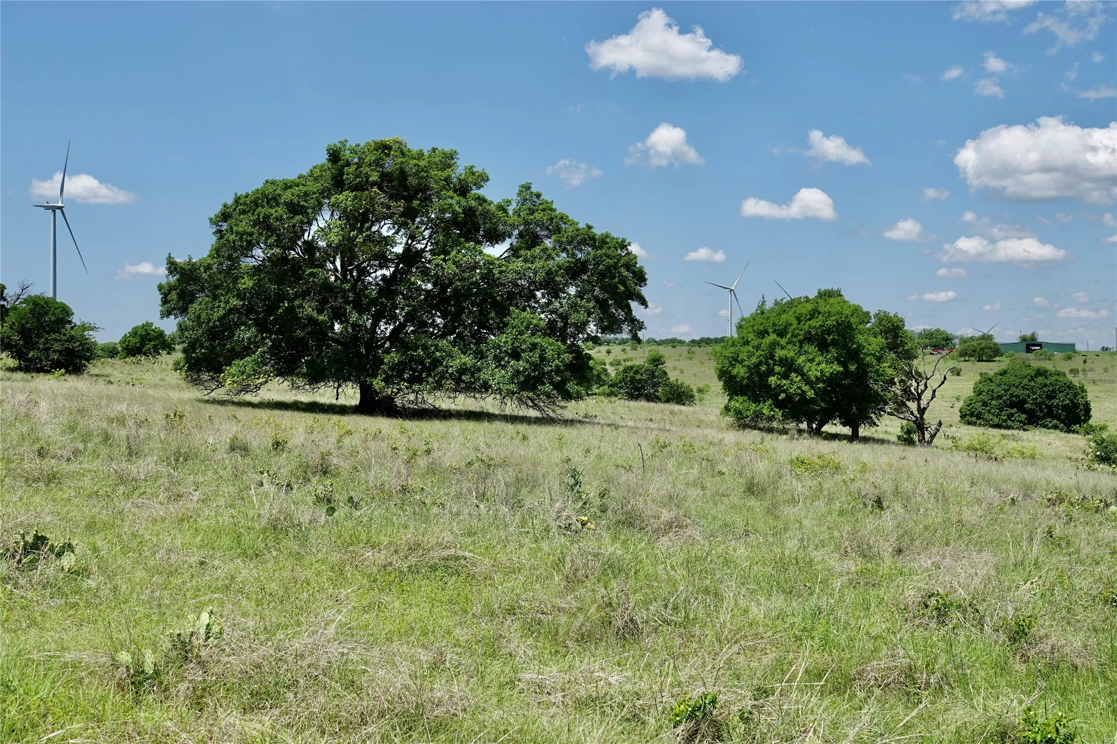 Ranch For Sale in Mills County , 801 N SH 16, Priddy, Texas 76870, 0, 0, Garage spaces, 0 Sqft, built in 0, Price $299,000, mls#21134624, Real Estate Agent in Priddy, Homes For Sale in Mills county, Homes For Sale in Priddy, Realtor in Priddy Texas, Real Estate Brokerage Independent Realty Texas, Luminita Cordes Realtor