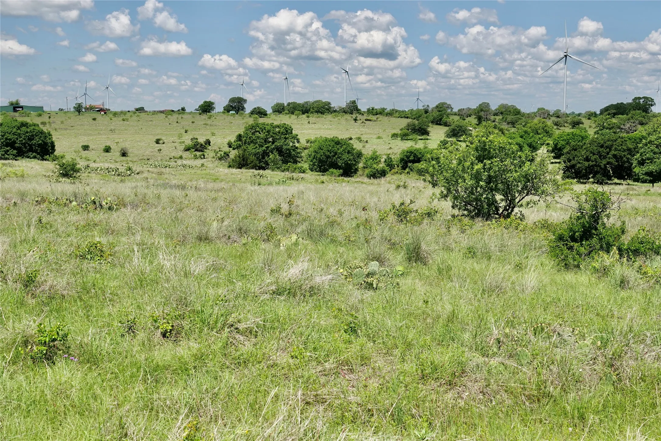 Ranch For Sale in Mills County , 801 N SH 16, Priddy, Texas 76870, 0, 0, Garage spaces, 0 Sqft, built in 0, Price $299,000, mls#21134624, Real Estate Agent in Priddy, Homes For Sale in Mills county, Homes For Sale in Priddy, Realtor in Priddy Texas, Real Estate Brokerage Independent Realty Texas, Luminita Cordes Realtor