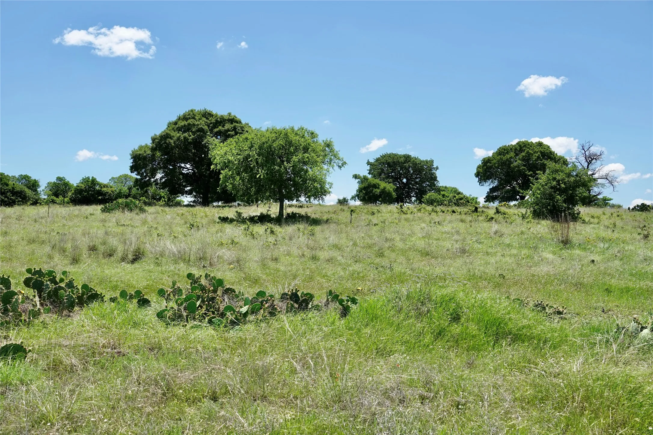 Ranch For Sale in Mills County , 801 N SH 16, Priddy, Texas 76870, 0, 0, Garage spaces, 0 Sqft, built in 0, Price $299,000, mls#21134624, Real Estate Agent in Priddy, Homes For Sale in Mills county, Homes For Sale in Priddy, Realtor in Priddy Texas, Real Estate Brokerage Independent Realty Texas, Luminita Cordes Realtor